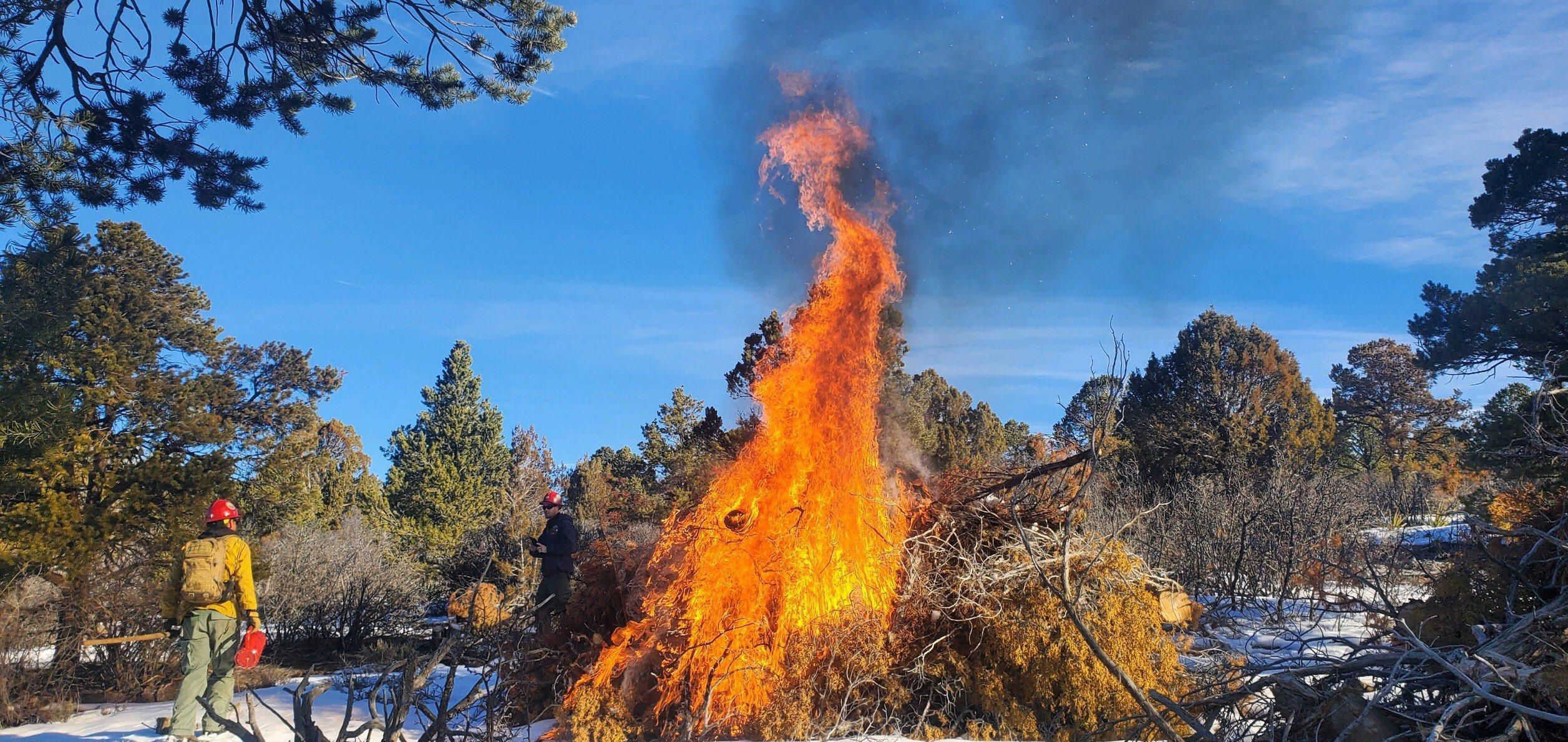 Boulder Ranger District Pile Burning Update – January 2022