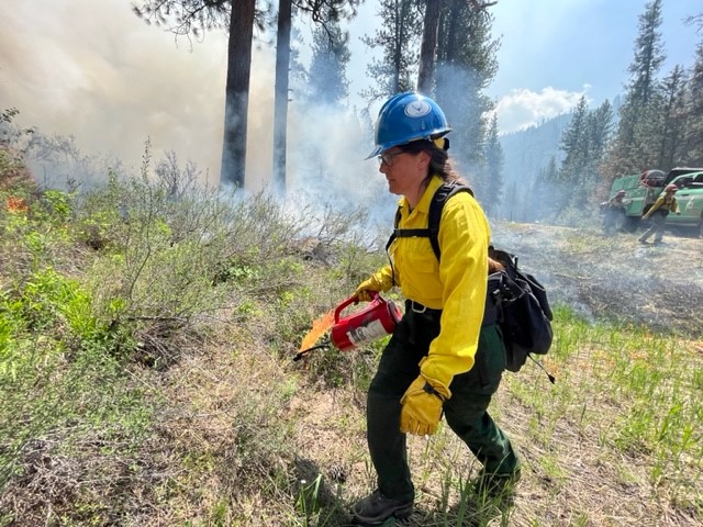 Idbof Boise National Forest Prescribed Fire Spring 2023 - | InciWeb