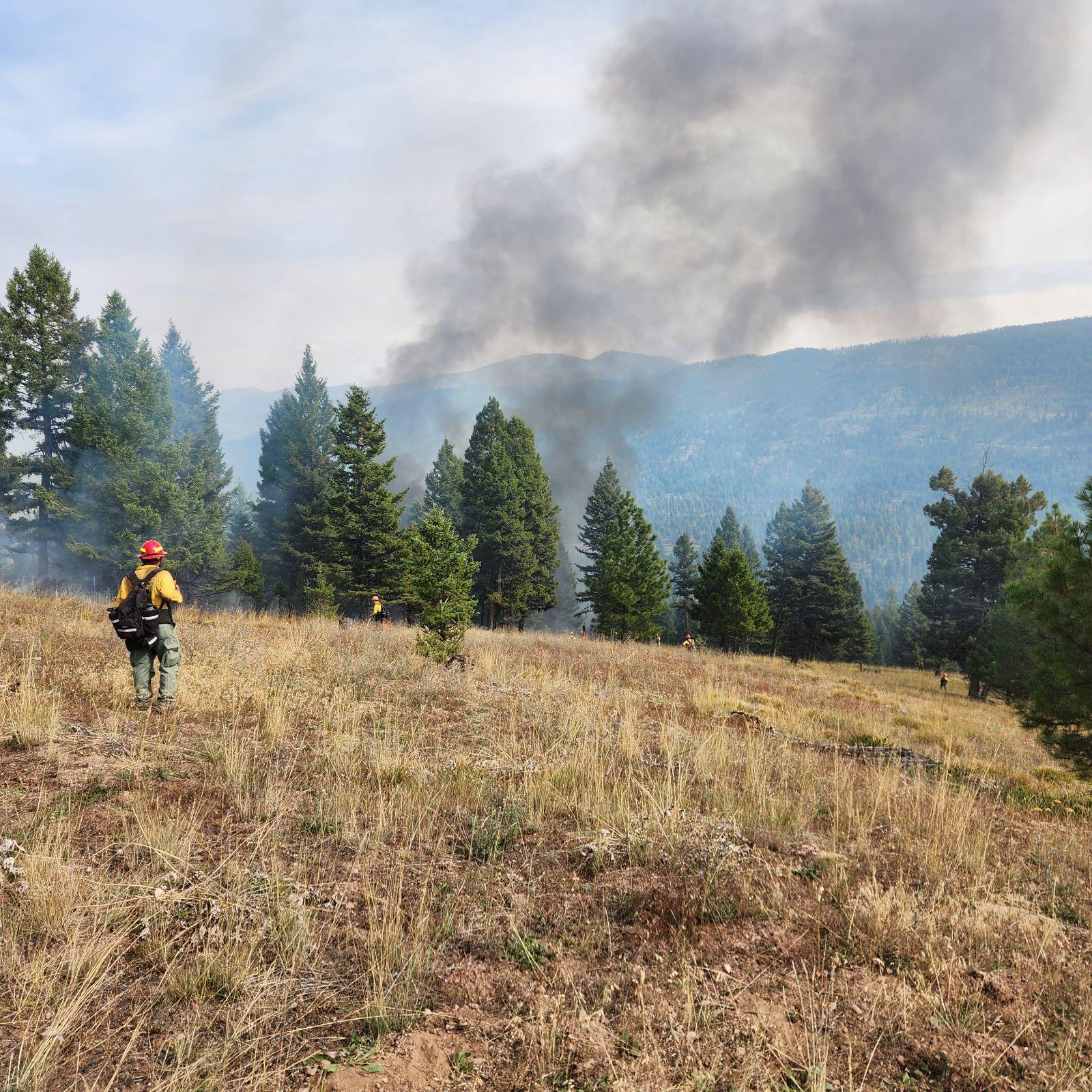 

						Fire Personnel Observing Smoke from Prescribed Fire Operations 
			