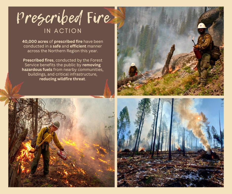 

						12-Prescribed Fire In Action_ReduceWildfireThreat_NEW.png
			