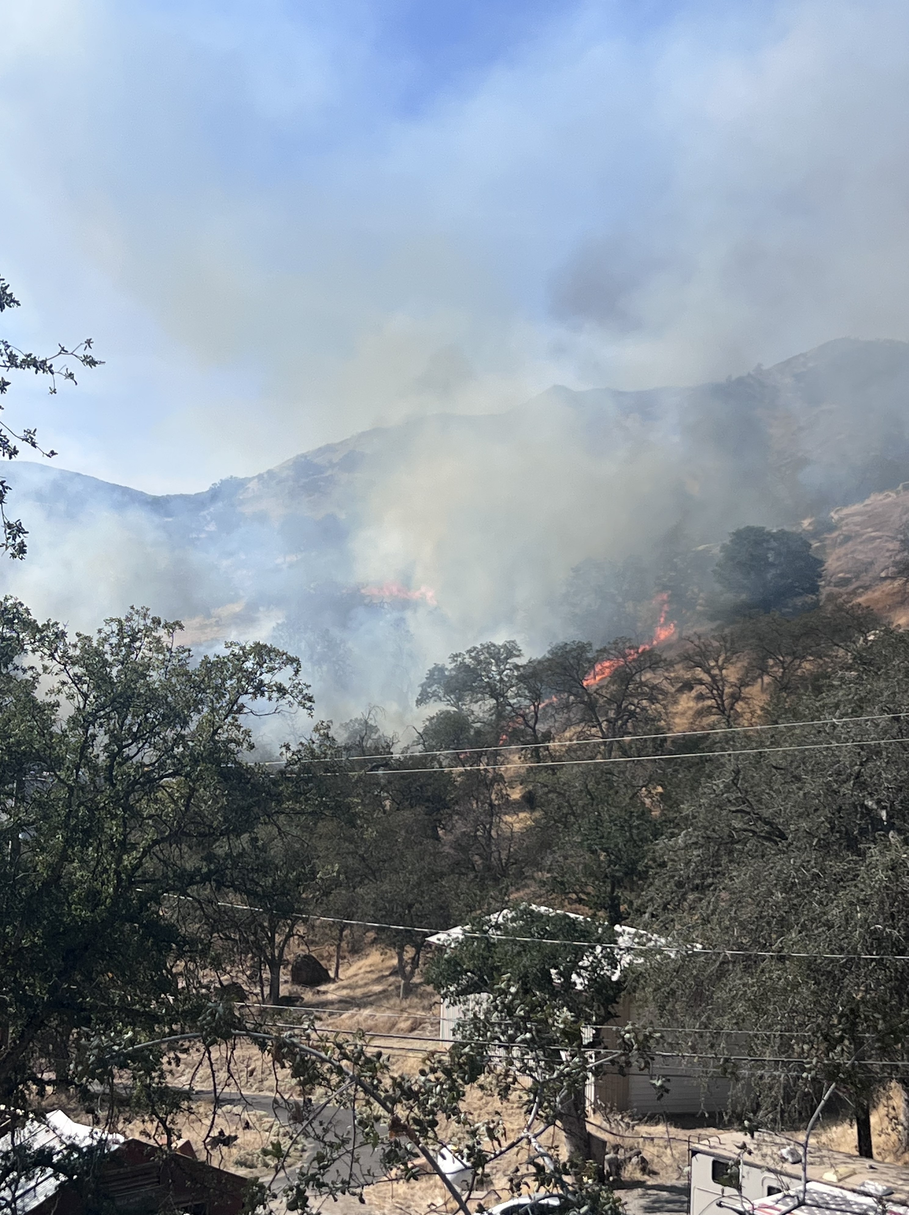 Caknp Sycamore Fire Information Inci