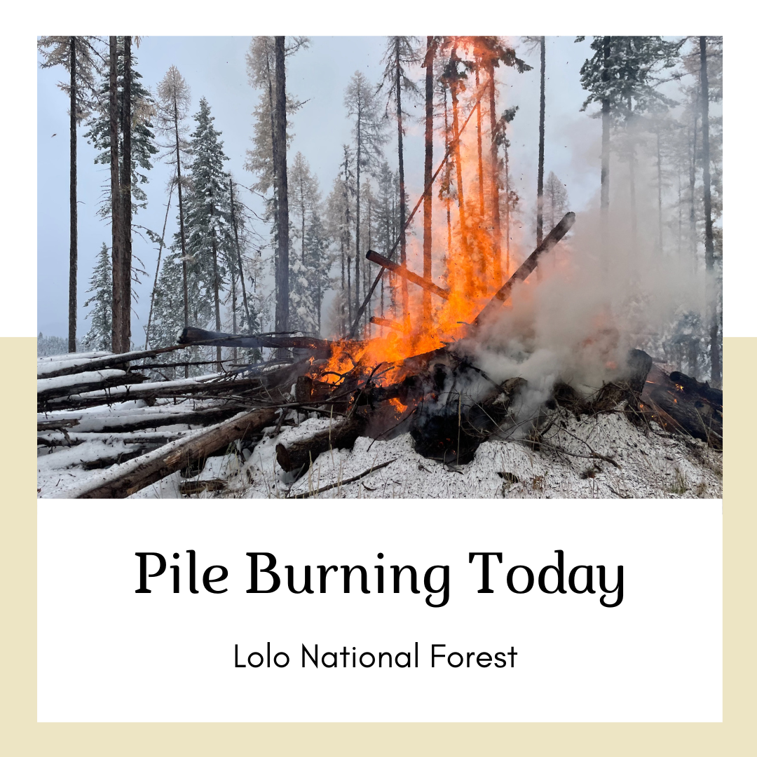 

						Pile Burning Today.png
			