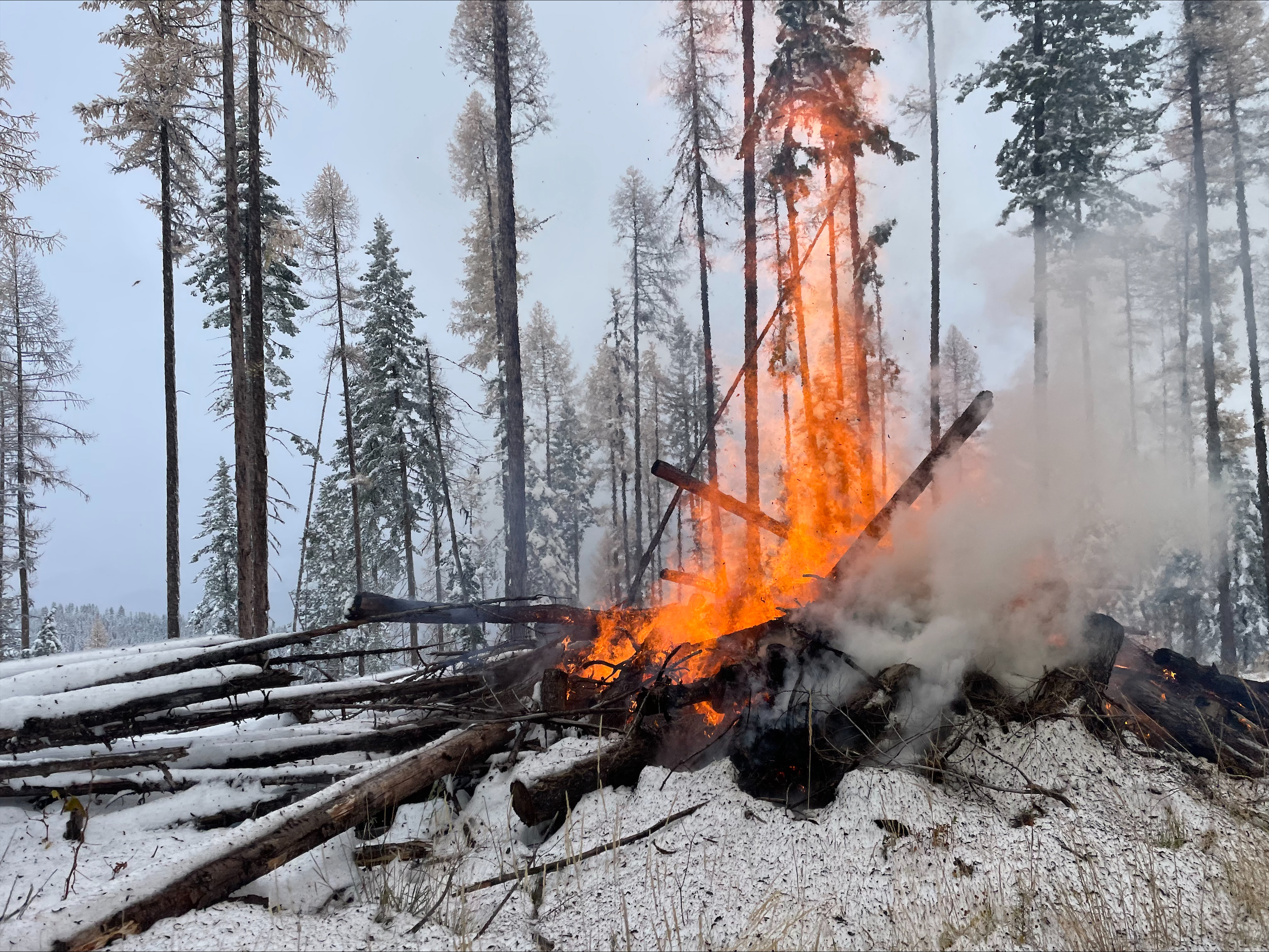 

						Pile Burn on the Superior Ranger District 
			