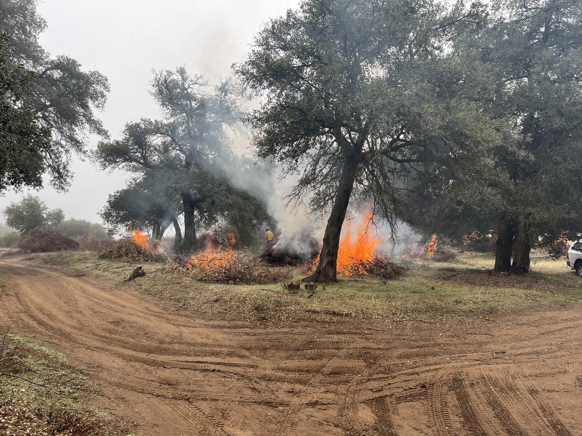 

						Deer Creek Project - Descanso Ranger District
			