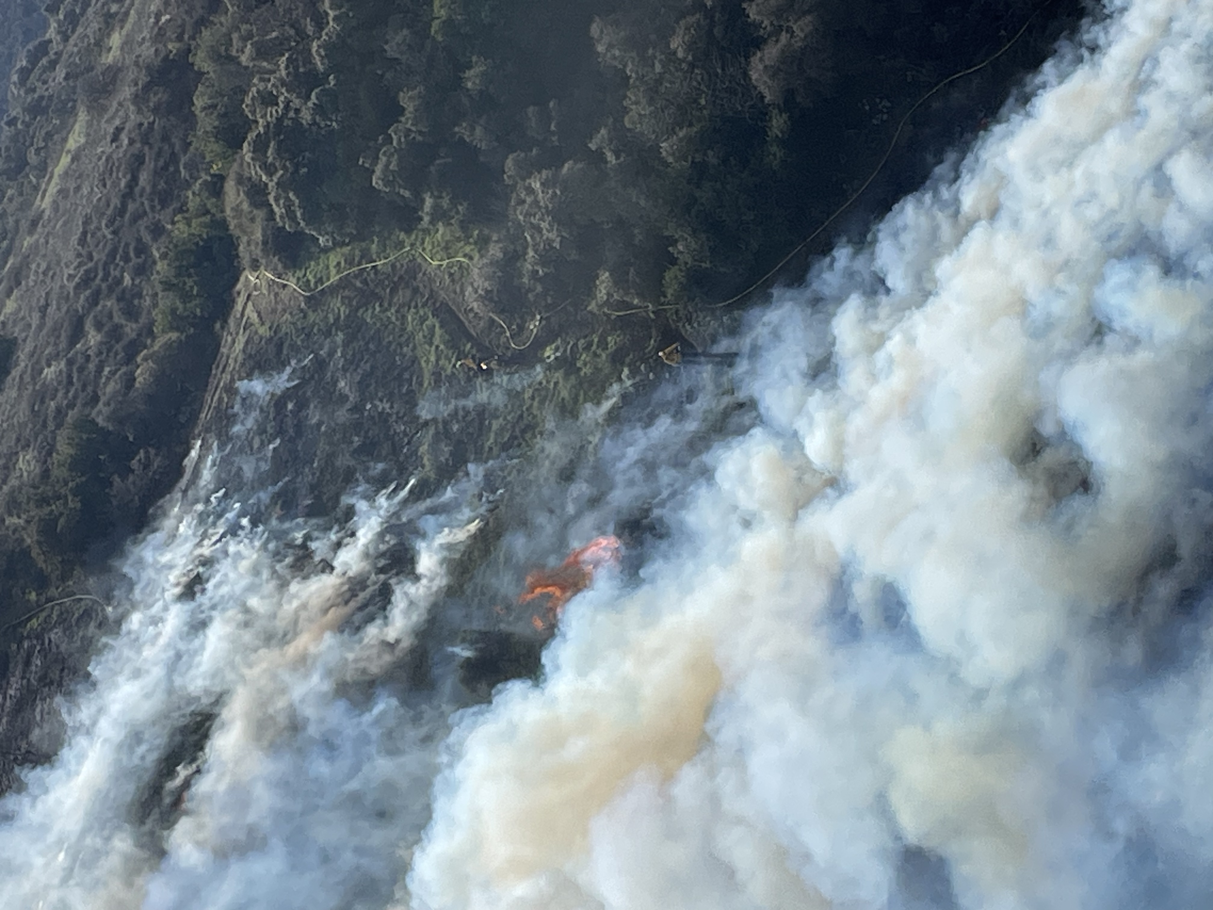 

						North Main Broadcast Burn - Trabuco Ranger District - Aerial View
			