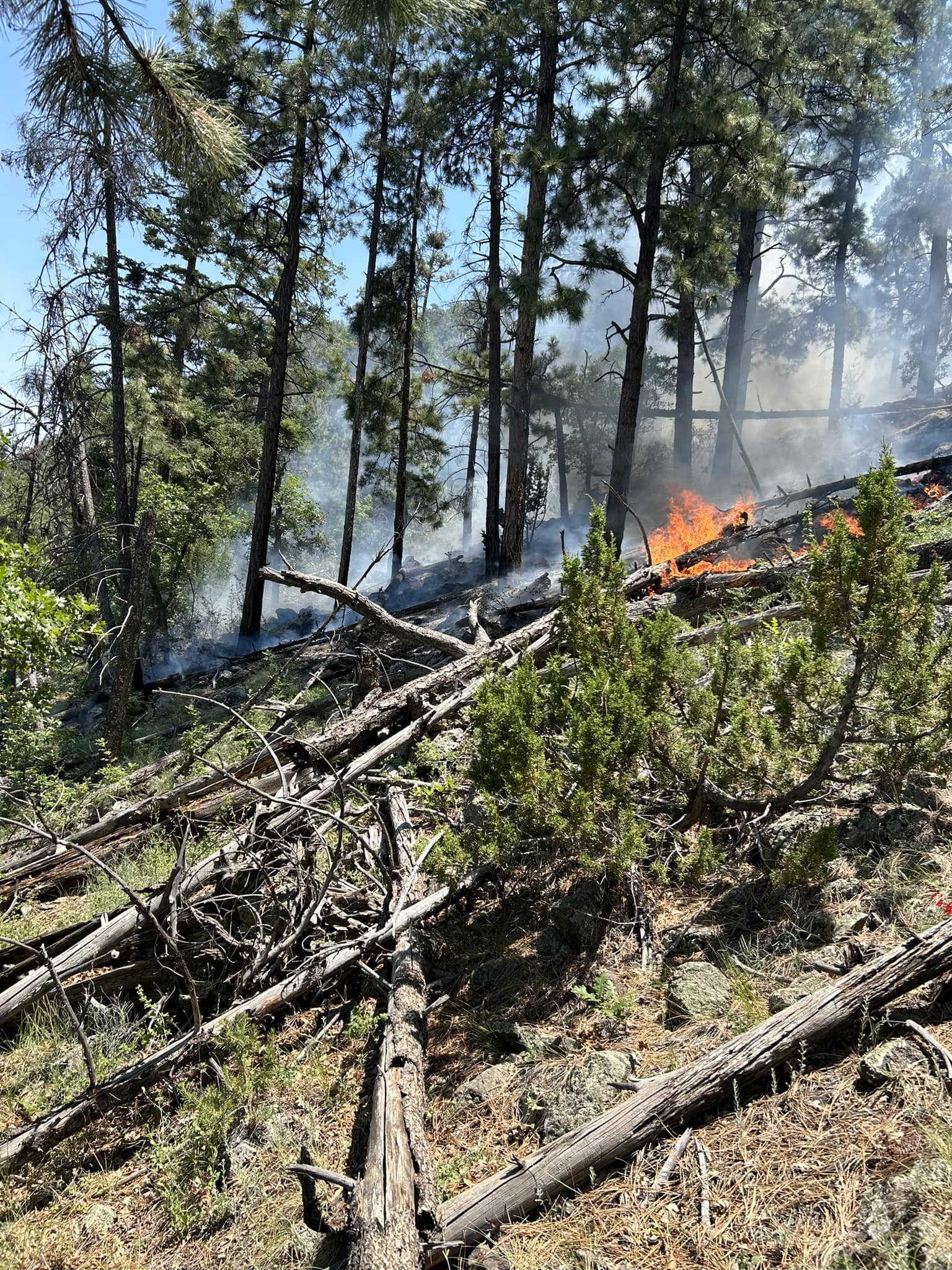 Nmgnf Lolo Fire Information InciWeb