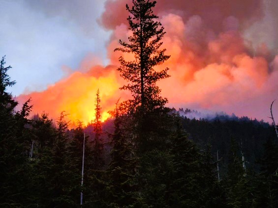 

						Photo: Crown fire runs through dense timber on the Okanogan-Wenatchee National Forest on the evening of July 17, 2024 approximately 20 air miles east of the Mazama community in the Methow Valley in Washington. Source: USFS 
			
