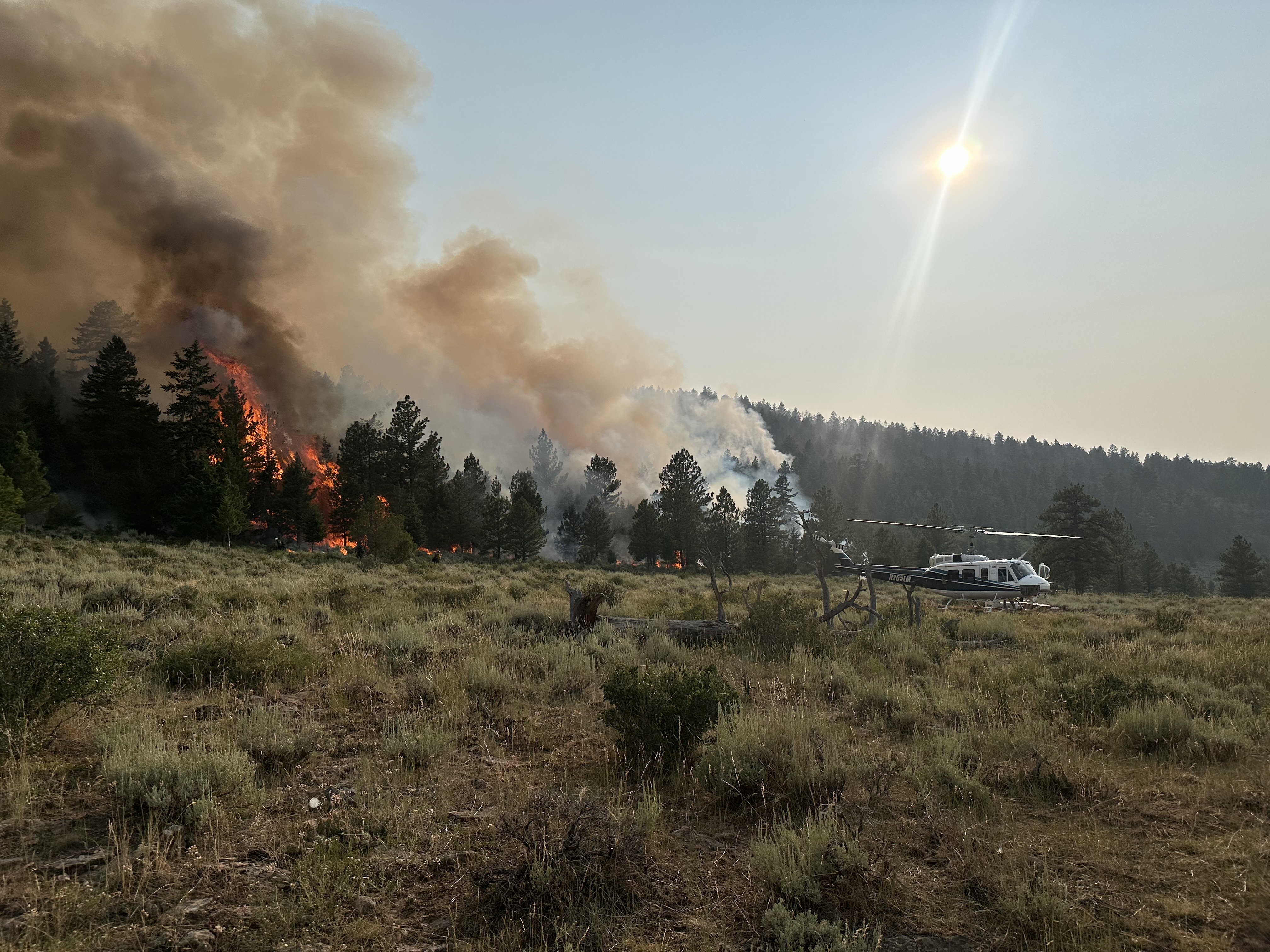 

						Firing operation near Spruce Meadows Spike
			