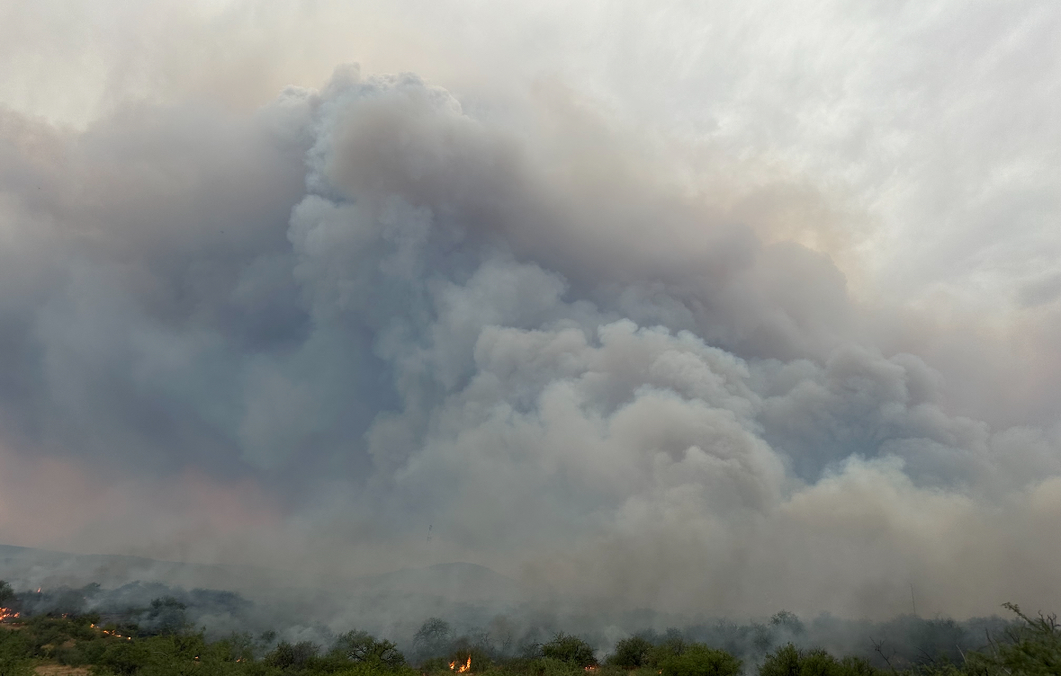 

						Freeman Fire from Thursday, July 11, 2024
			