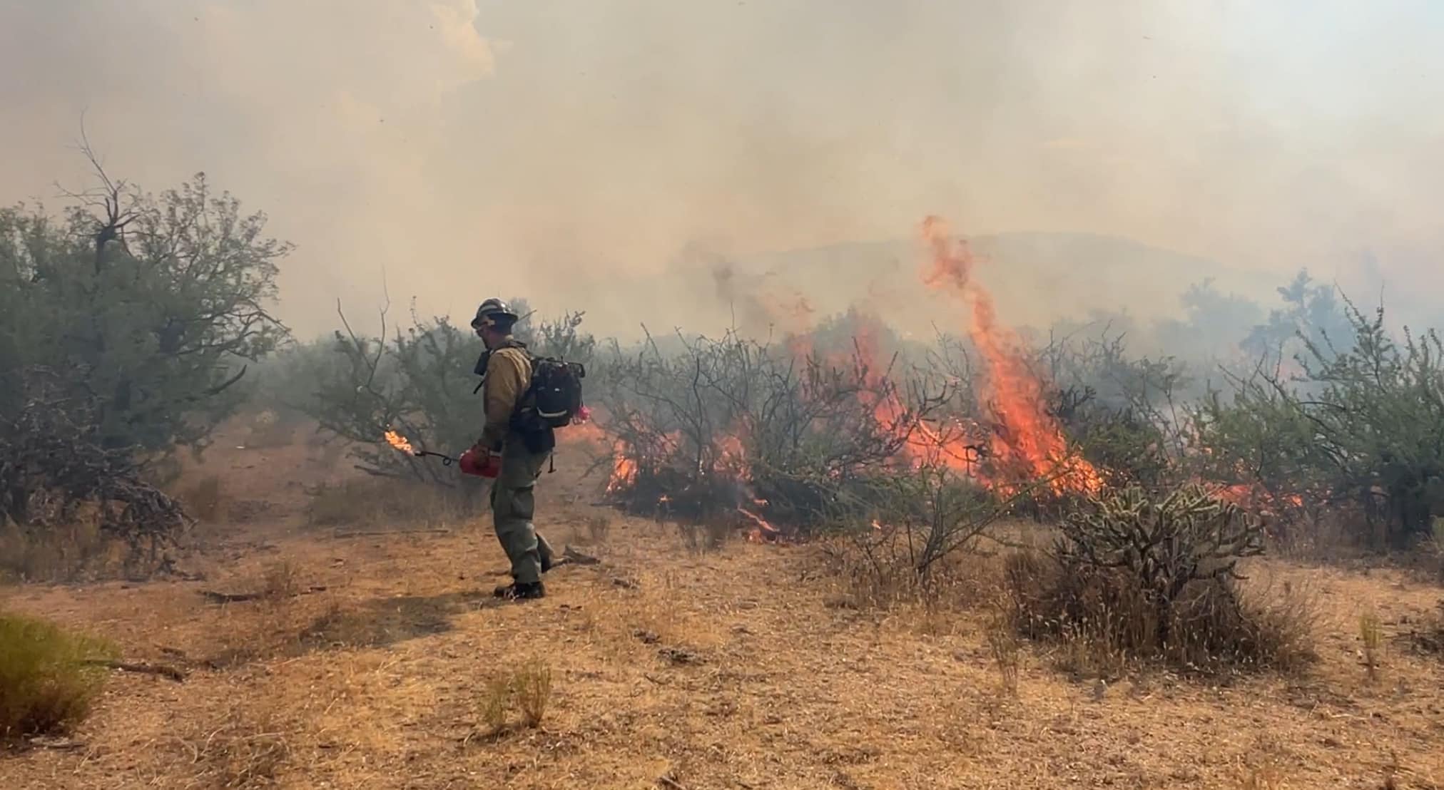 

						Firefighter using drip torch for firing operation 7.25.24
			