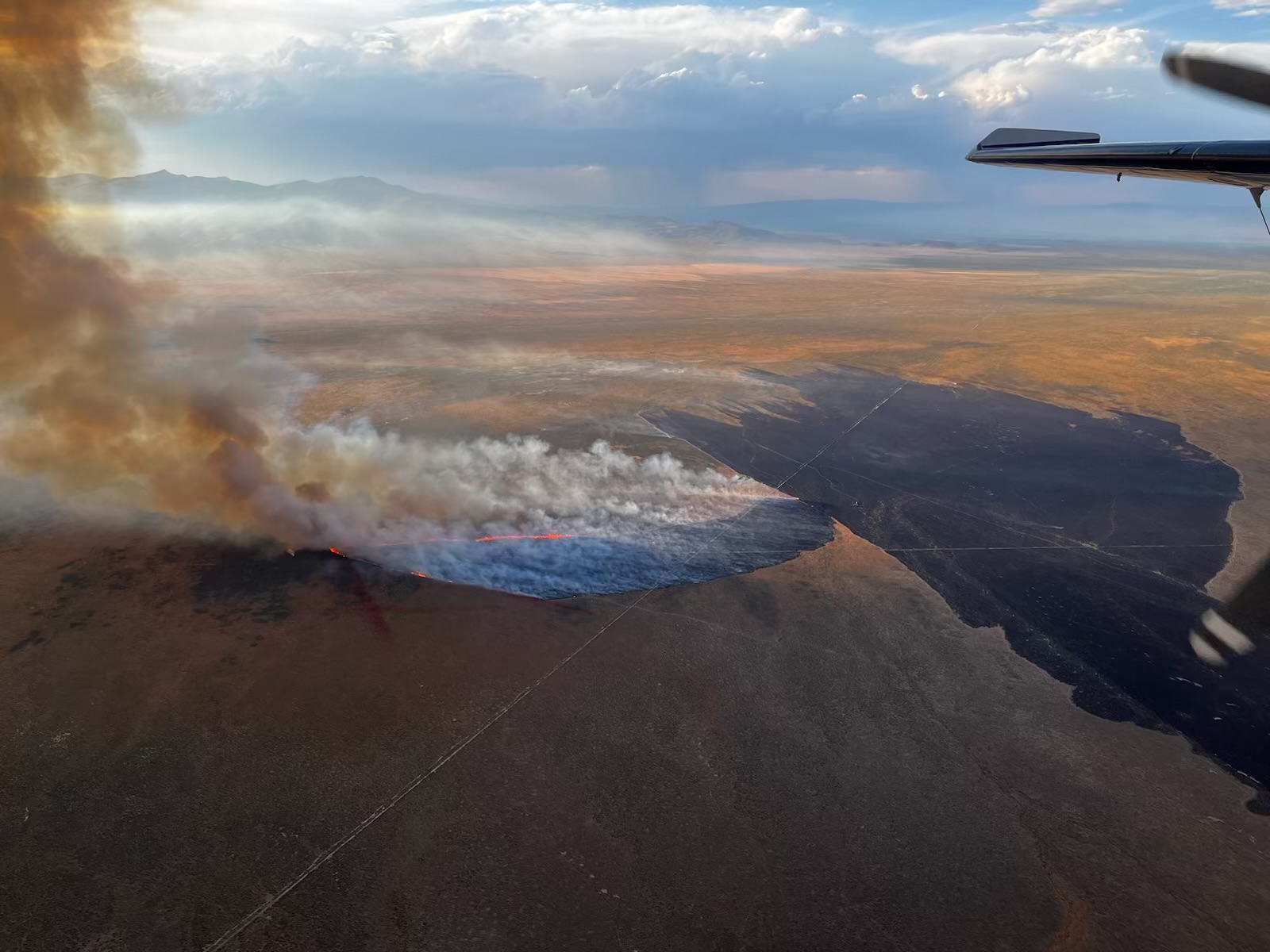 

						Whiskey Canyon Fire / BLM Photo
			