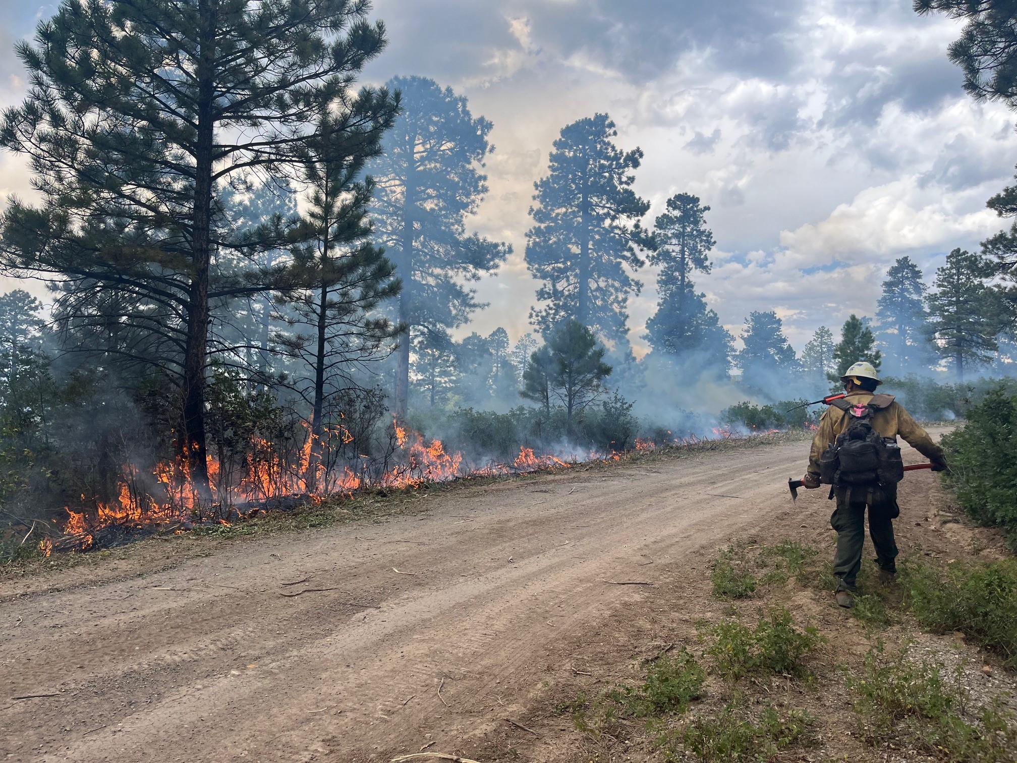 

						Bucktail Fire 
			