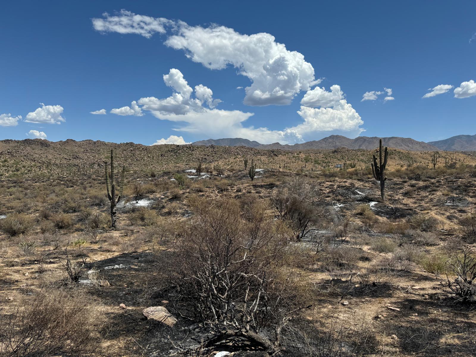 

						8-4-2024 Sand Stone Fire burned area
			