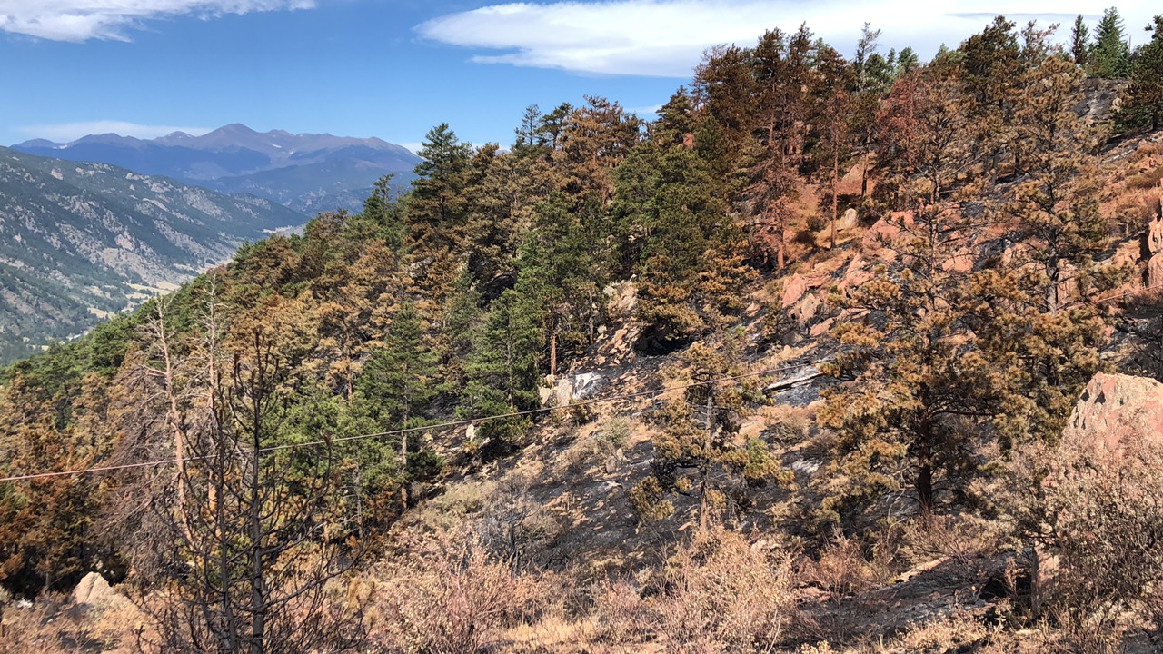 

						Alexander Mountain Post-Fire Mosaic
			