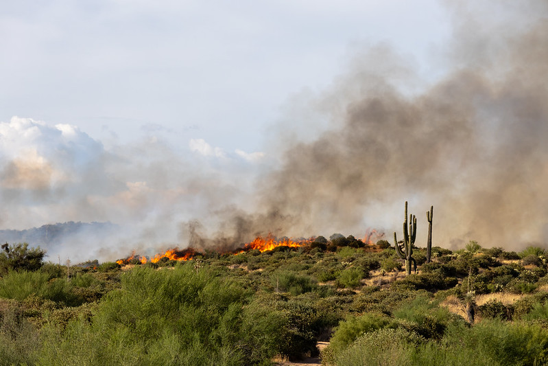 

						Bartlett Fire and Smoke
			