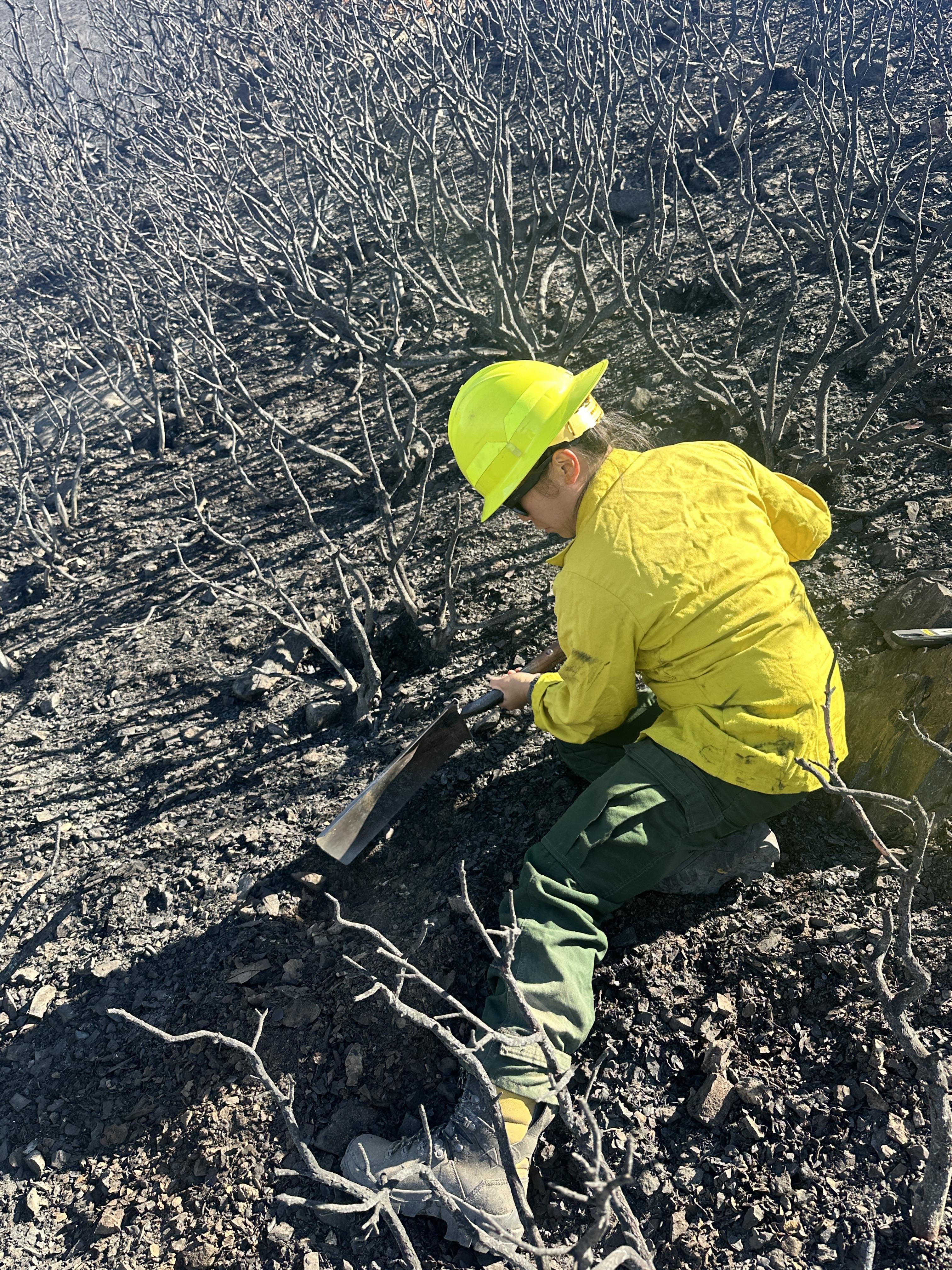 

						BAER Specialist assessing soil burn severity in Lake burned area
			