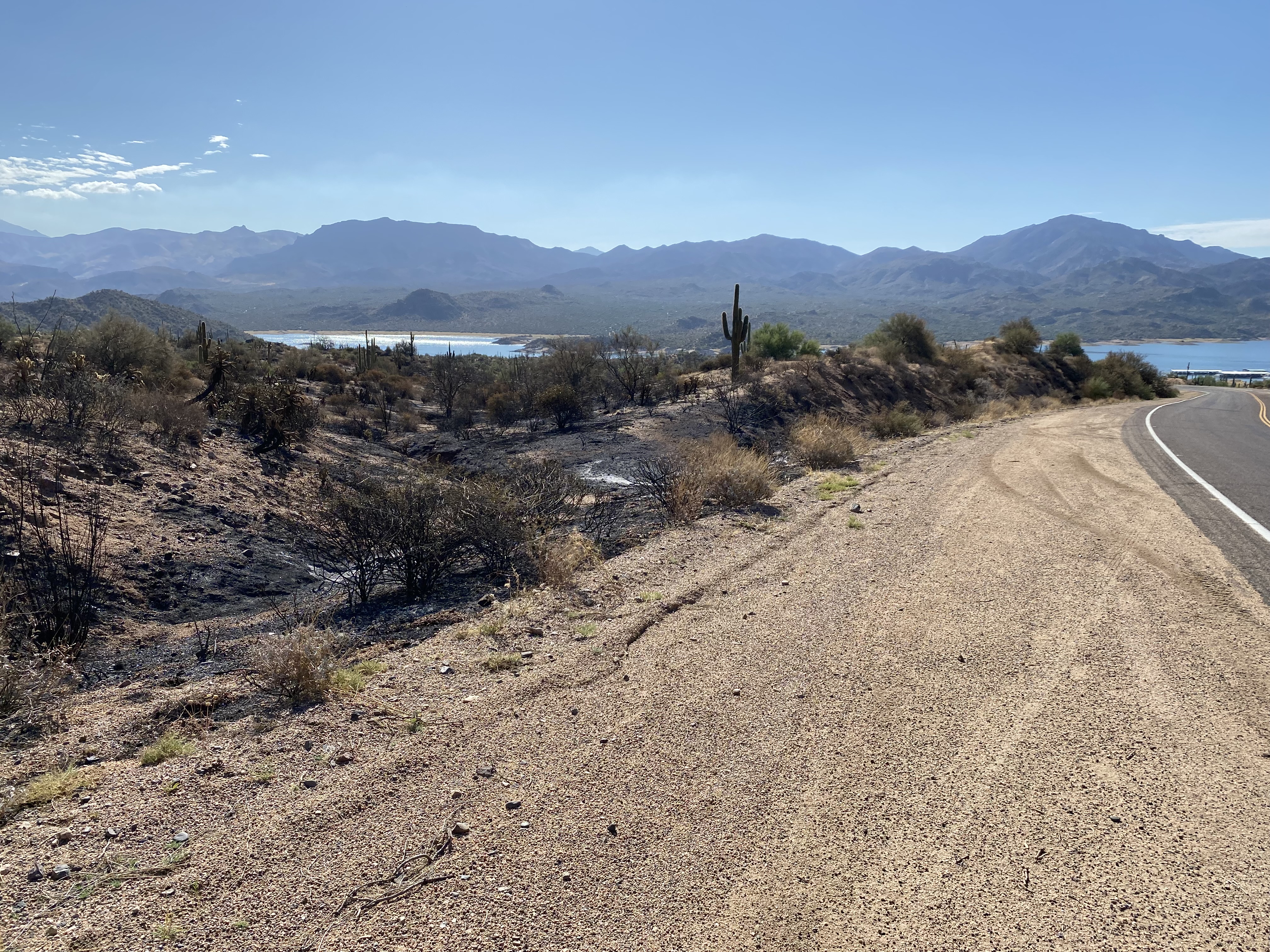 

						August 8, 2024 - Burned area at Bartlett Lake
			