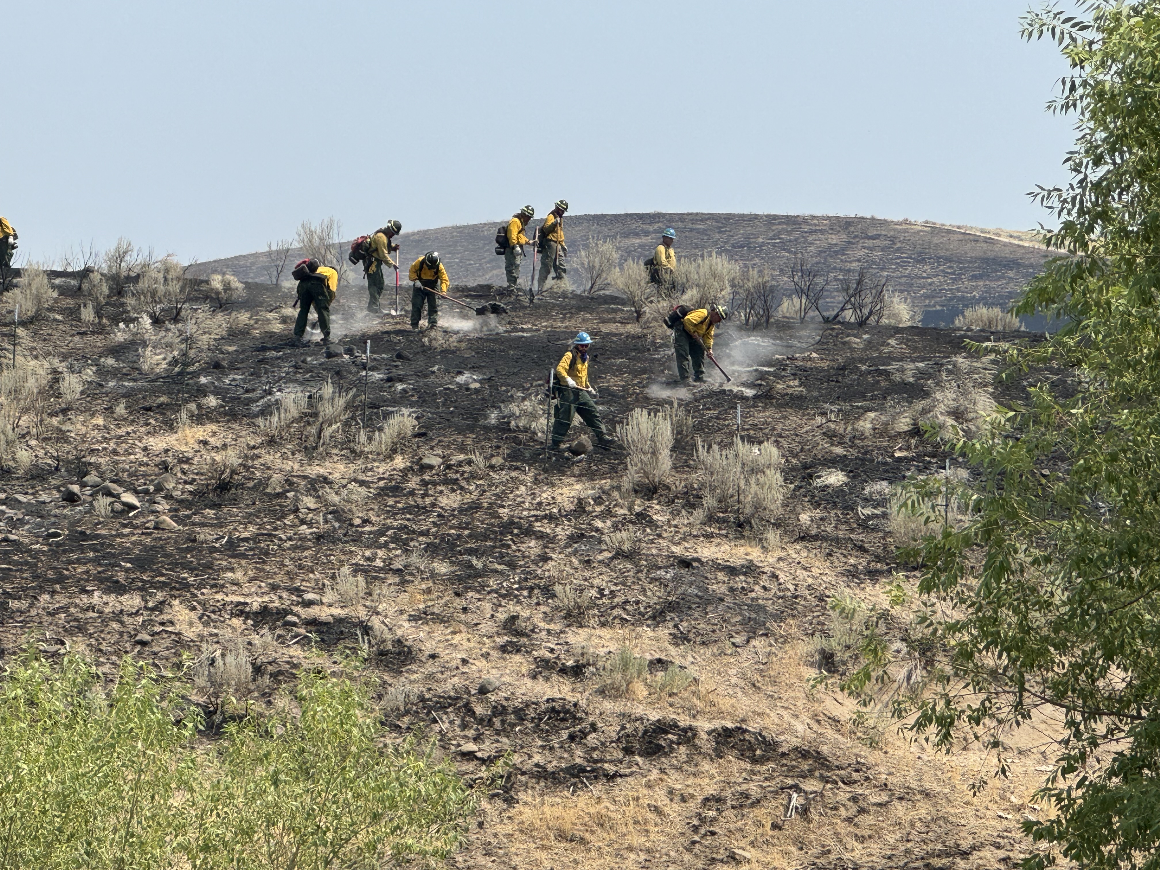 

						Mop-up on the Paddock Fire.jpg
			