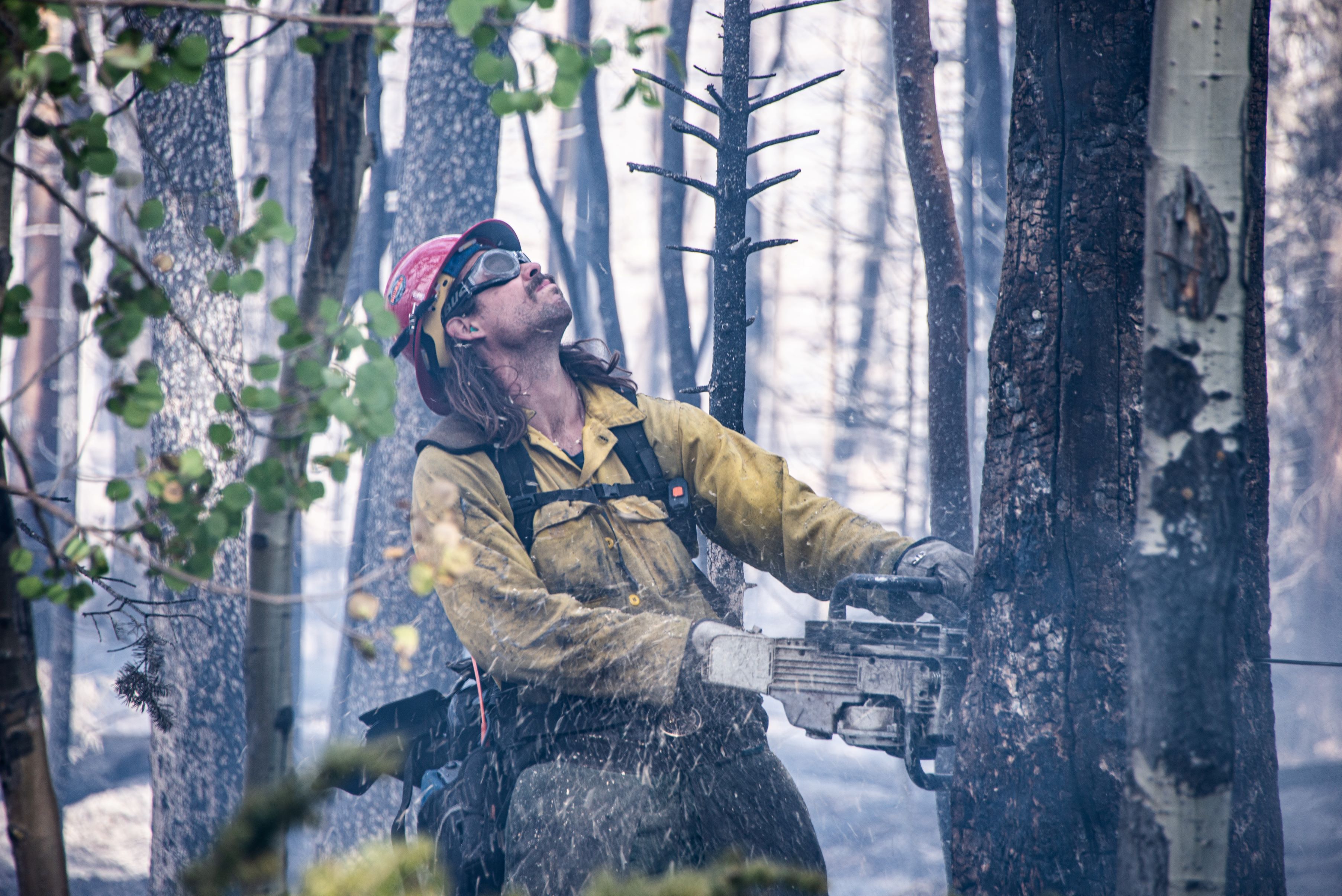 

						Firefighter on Pearl Fire using Chainsaw
			