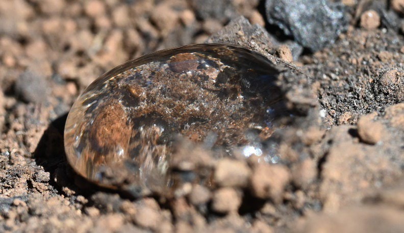 

						Beading water on the burned soil as a result of water repellency from the fire
			