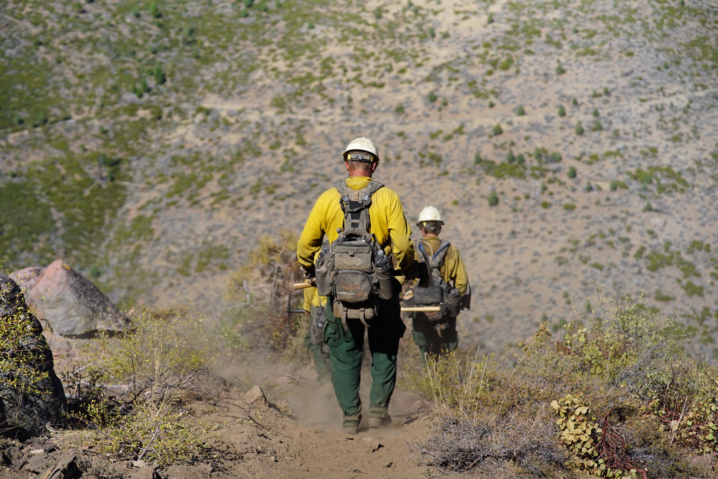 

						Firefighters heading down the fireline on the Bear Fire
			