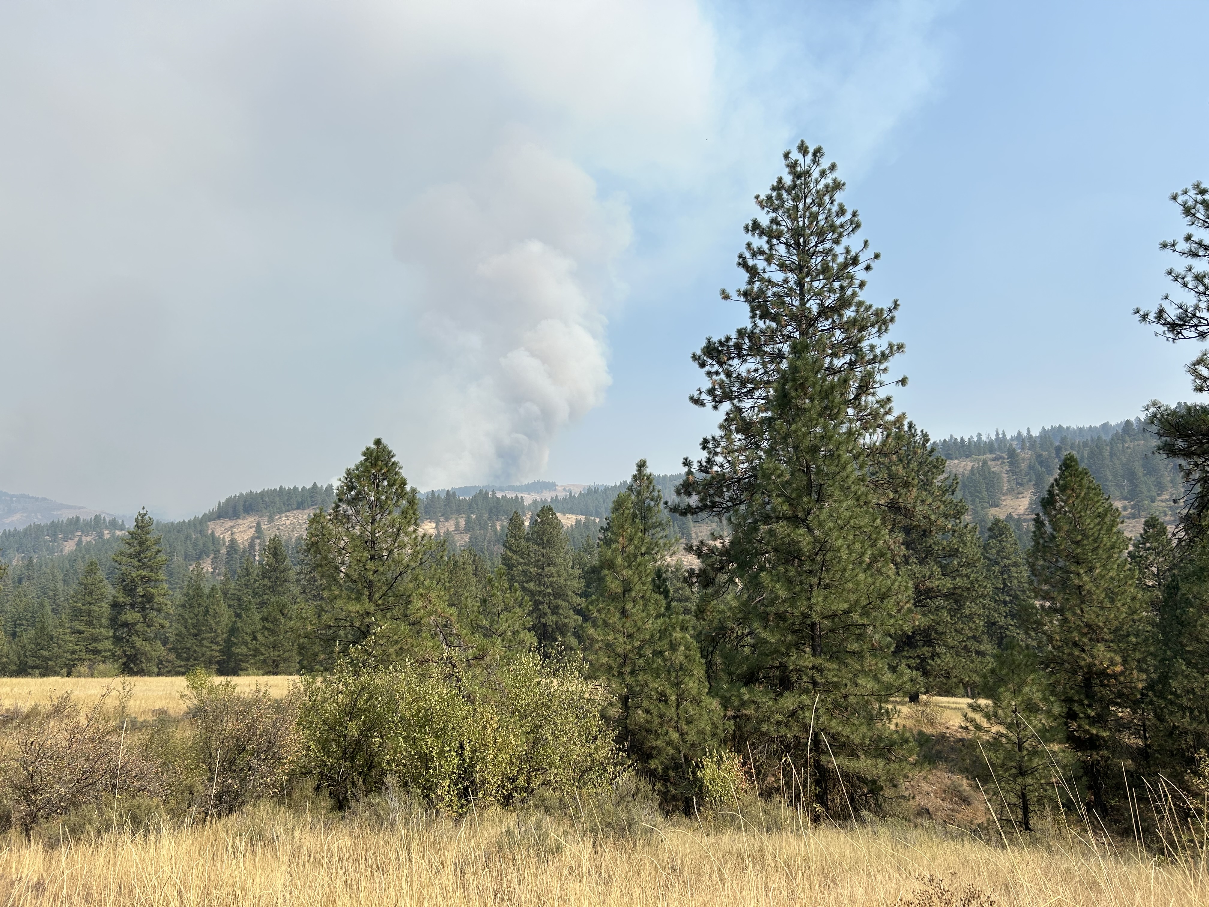 

						Smoke Column from the Lava Fire 
			