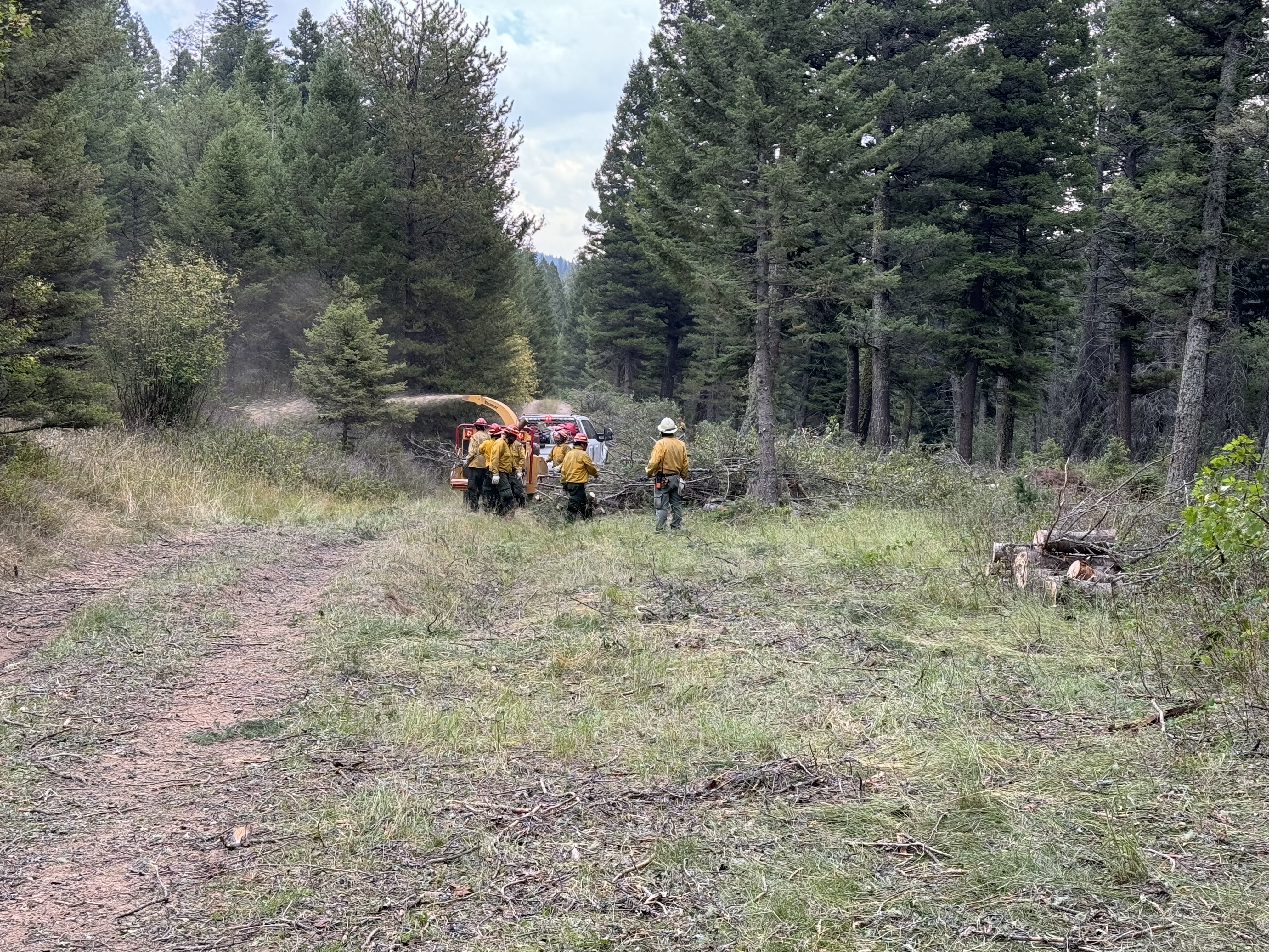 

						Crews work on fuels reduction near homes
			