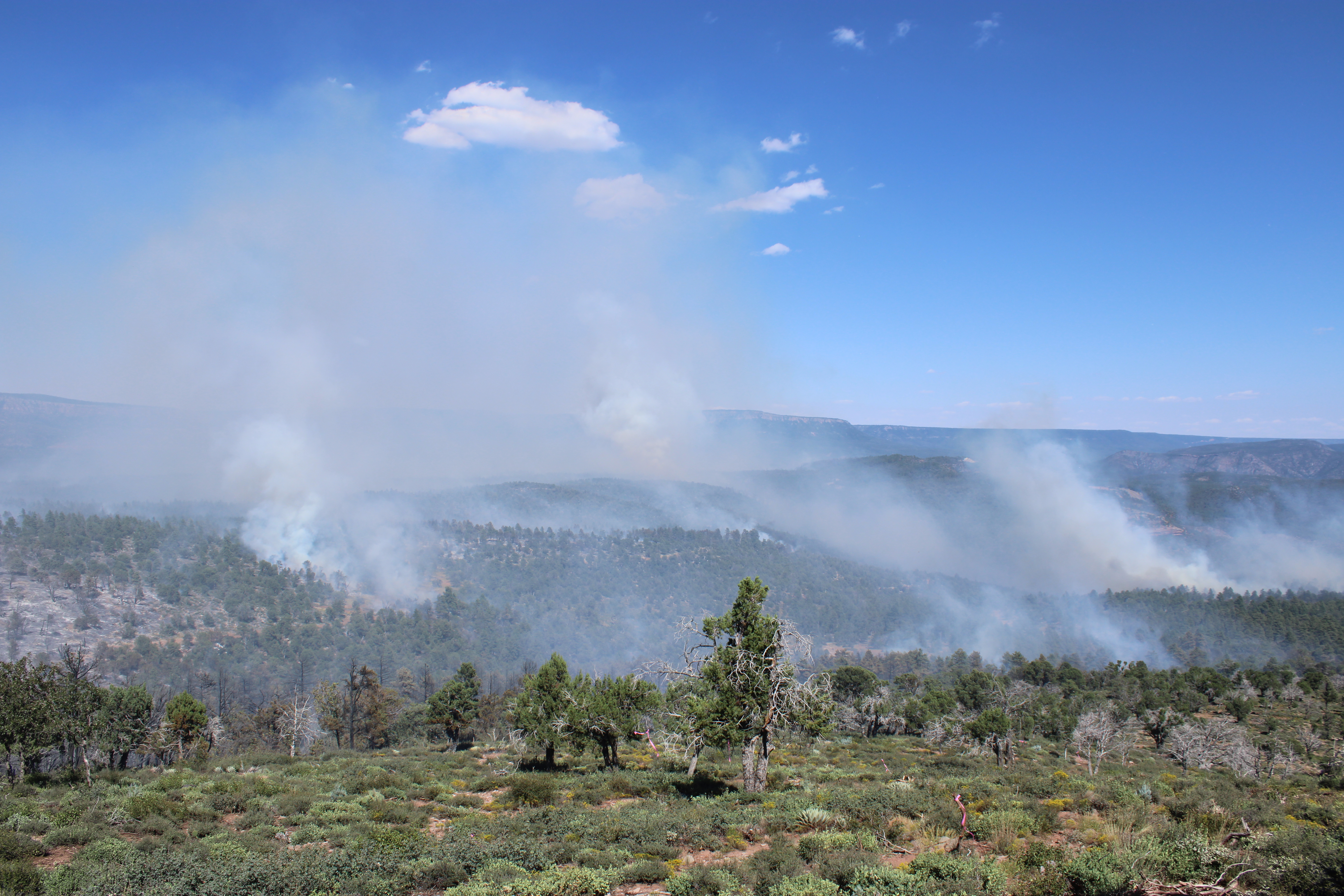 

						After Ignitions Smoke Rises From Preacher Fire
			