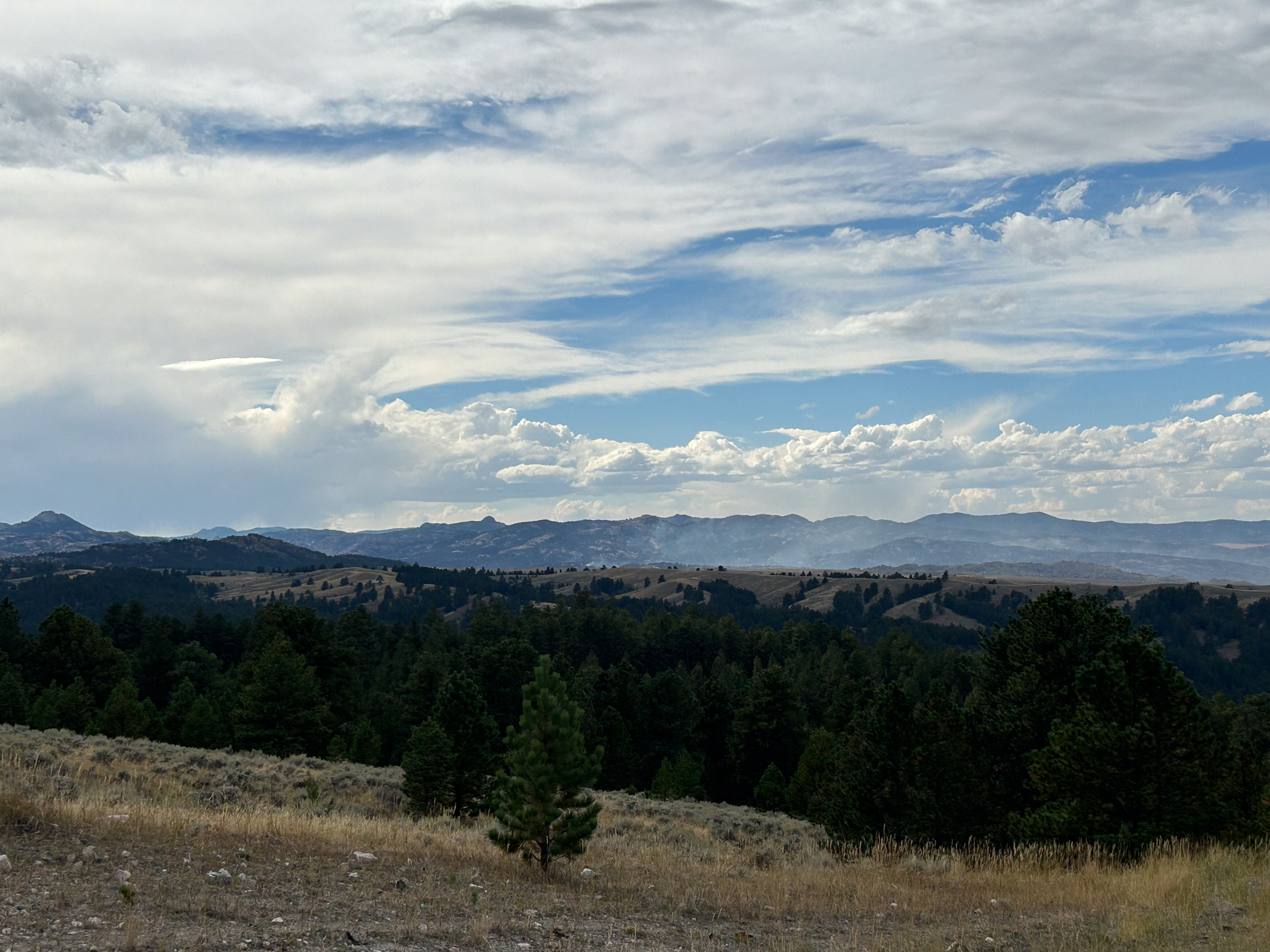 

						Moderated fire behavior on the La Bonte Fire 9/16/24
			