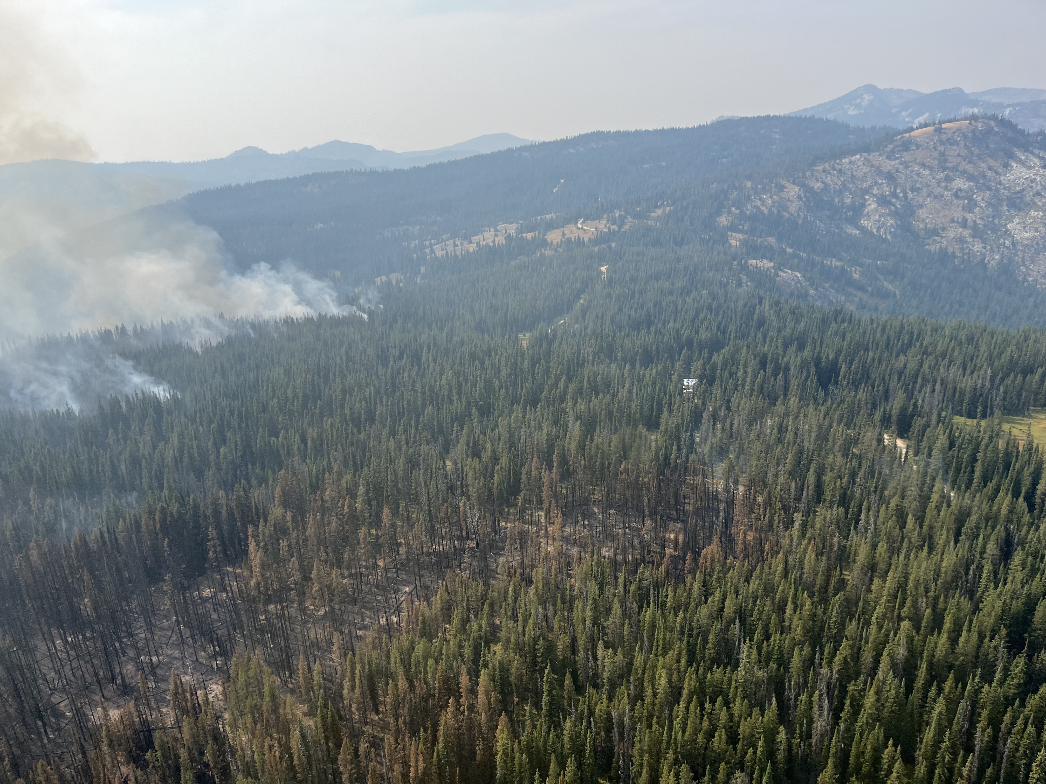 

						Aerial Photo of Burned and Unburned Fuels
			