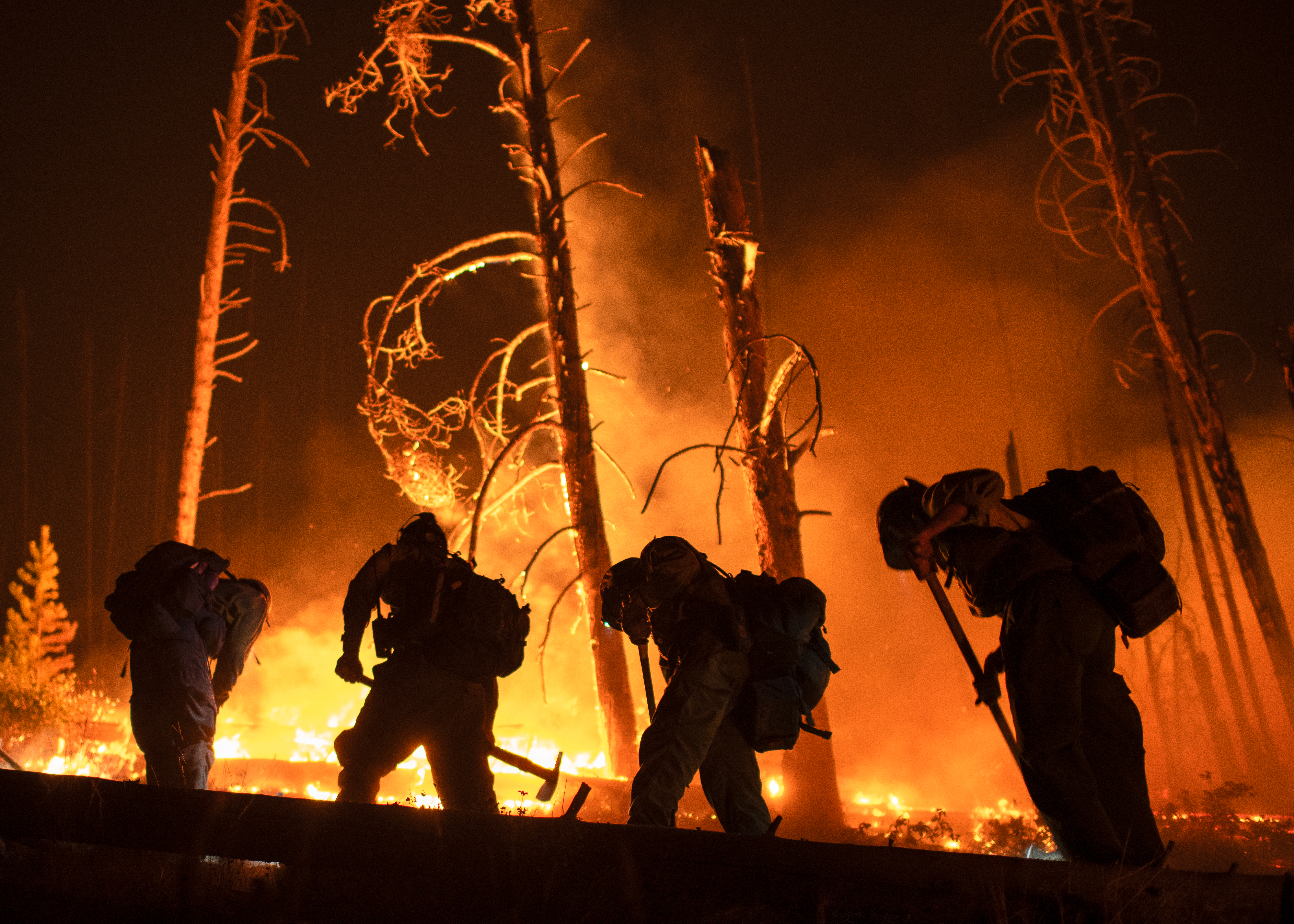 

						Wapiti Firefighters during night operations in Division PP
			