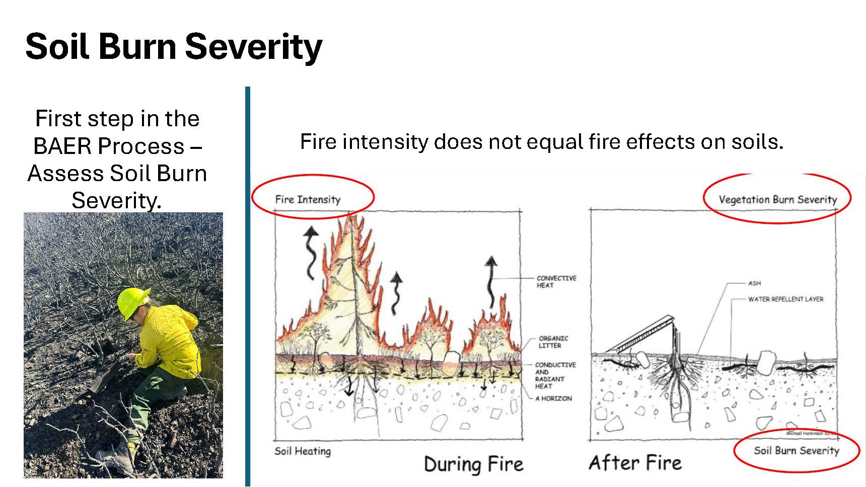 

						Fire Intensity vs Soil Severity Wildfire Effects
			