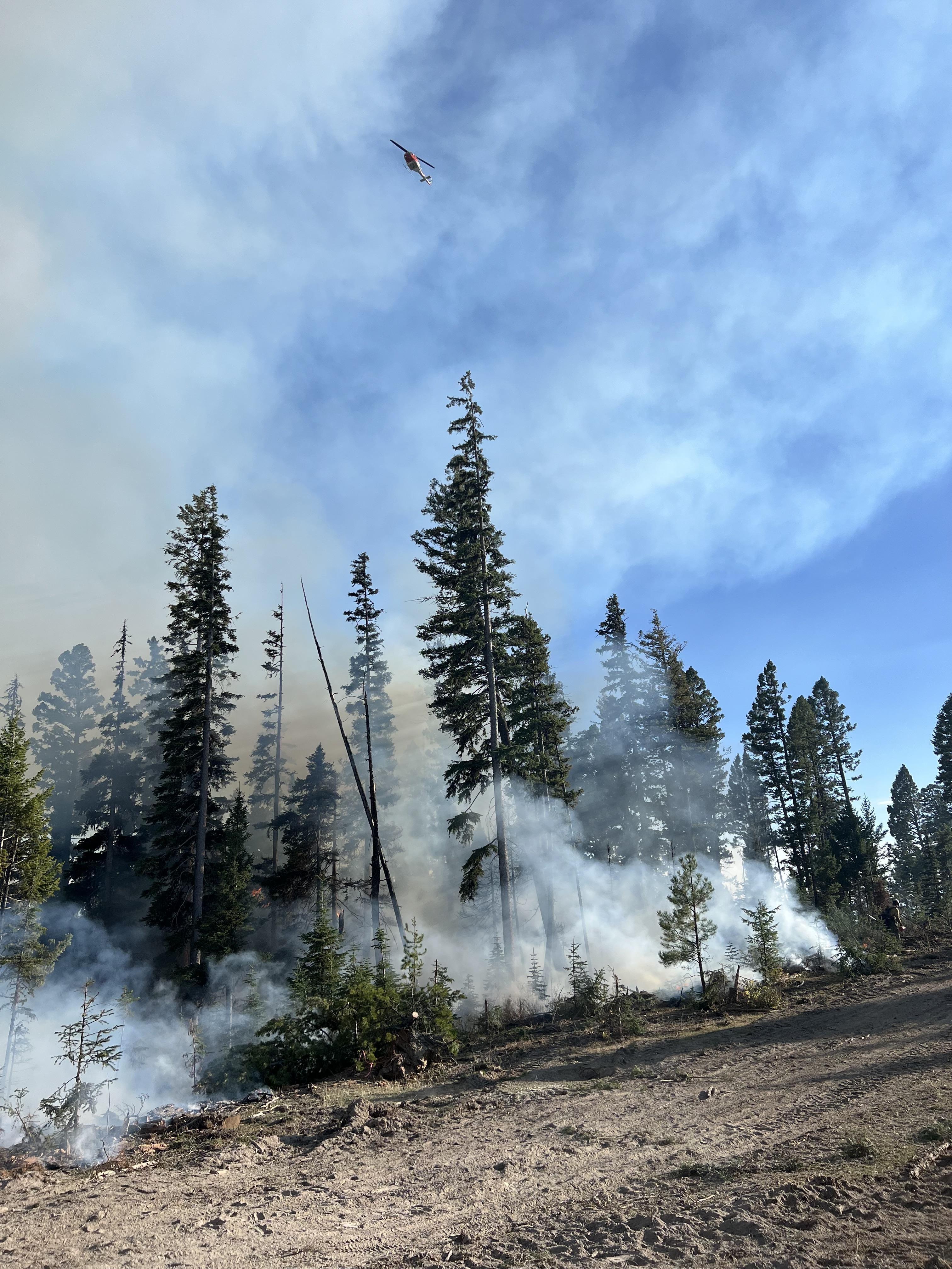 

						Helicopter working the Daly Fire 
			