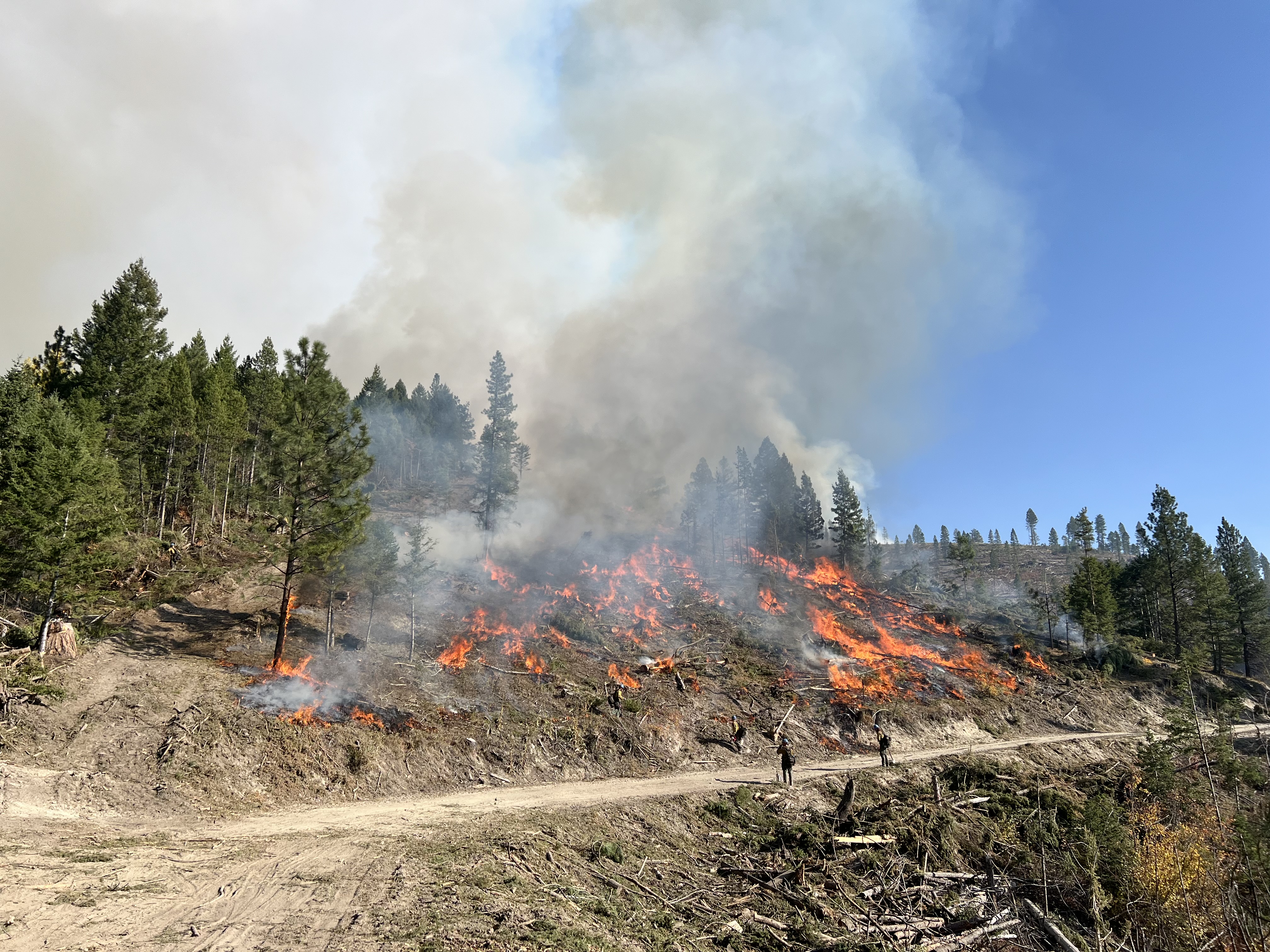 

						Fire backing down to the road 
			