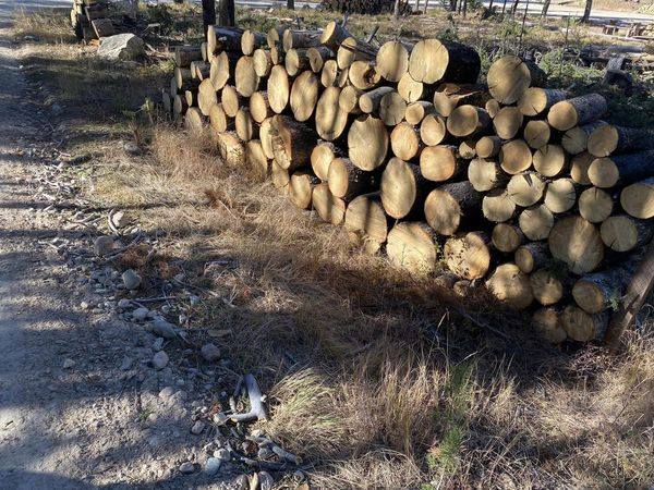 

						Firewood available for the public on Iron Creek road
			