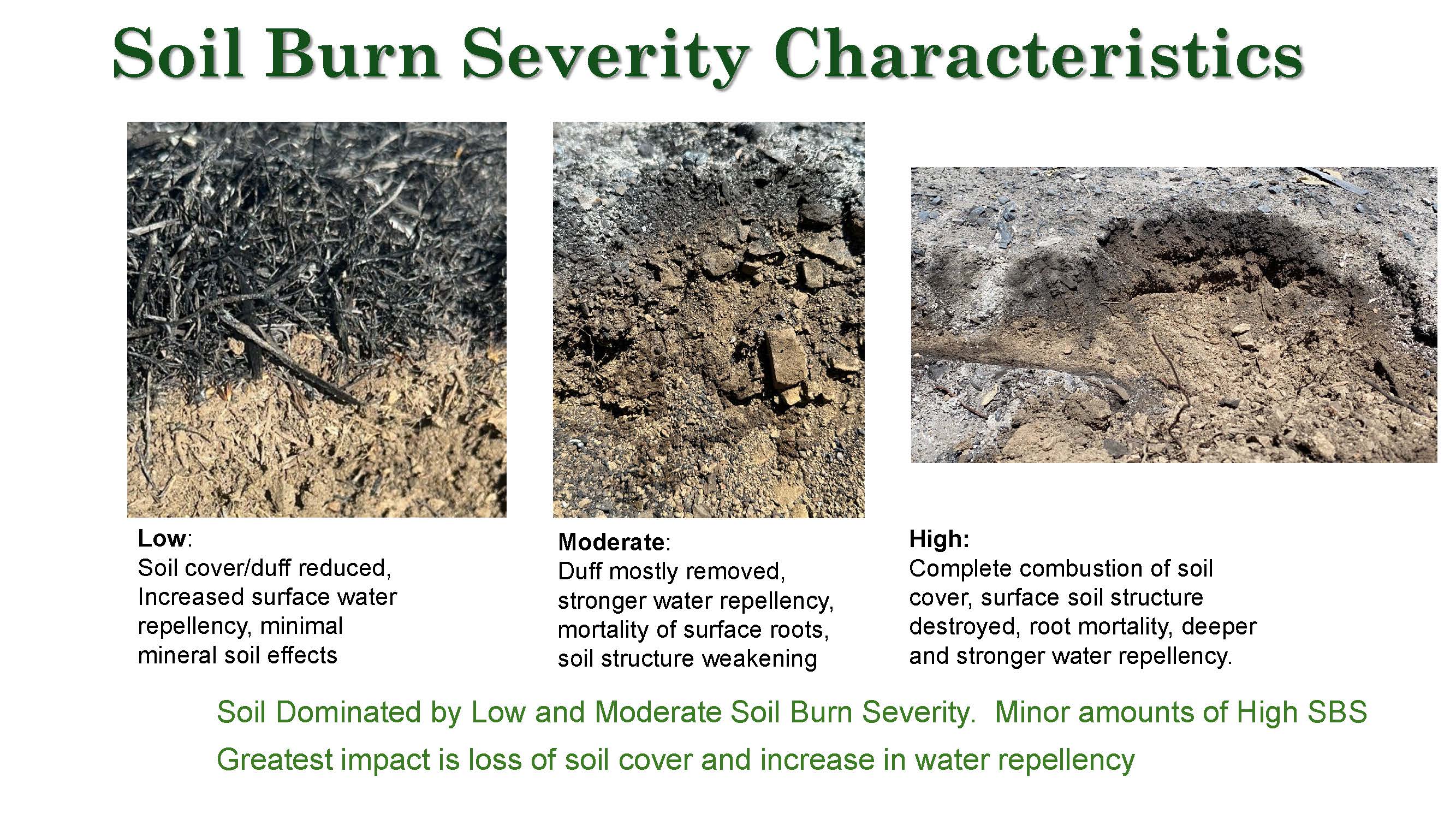 

						Soil Burn Severity Characteristics
			