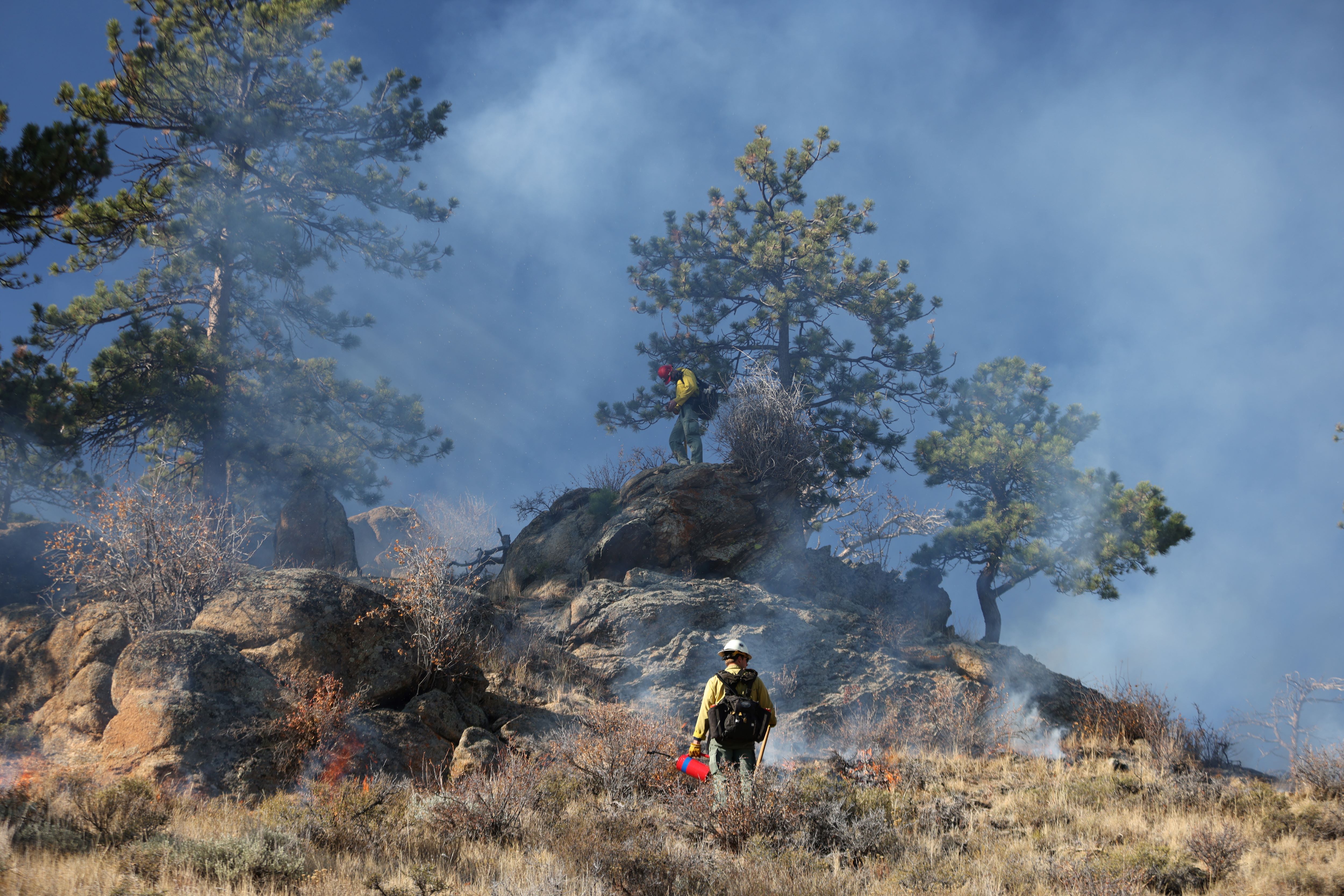 

						Firefighters on Test Fire, Front Country Prescribed Fire, November 2
			