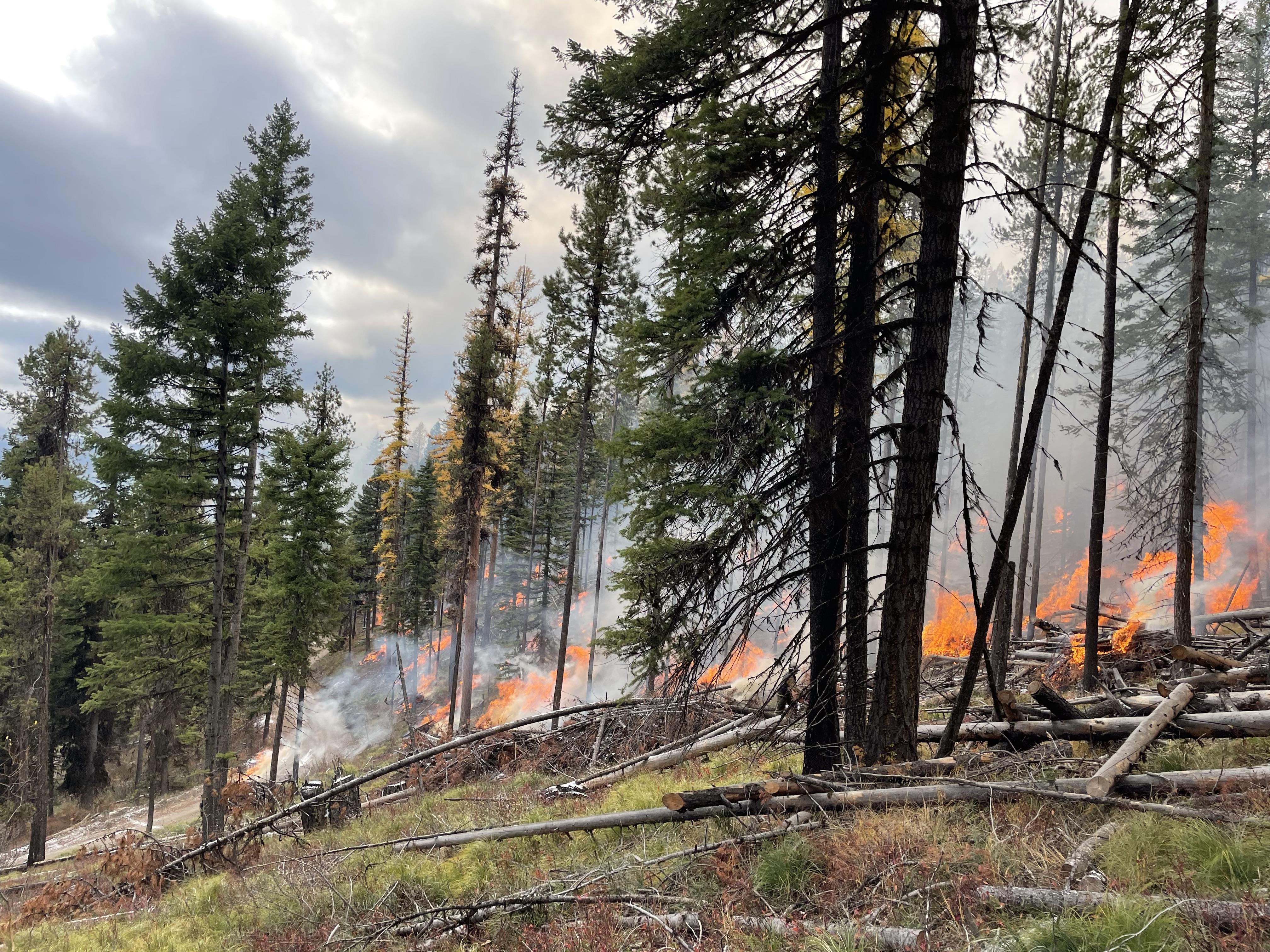 

						Granite Graves Pile Burn 
			