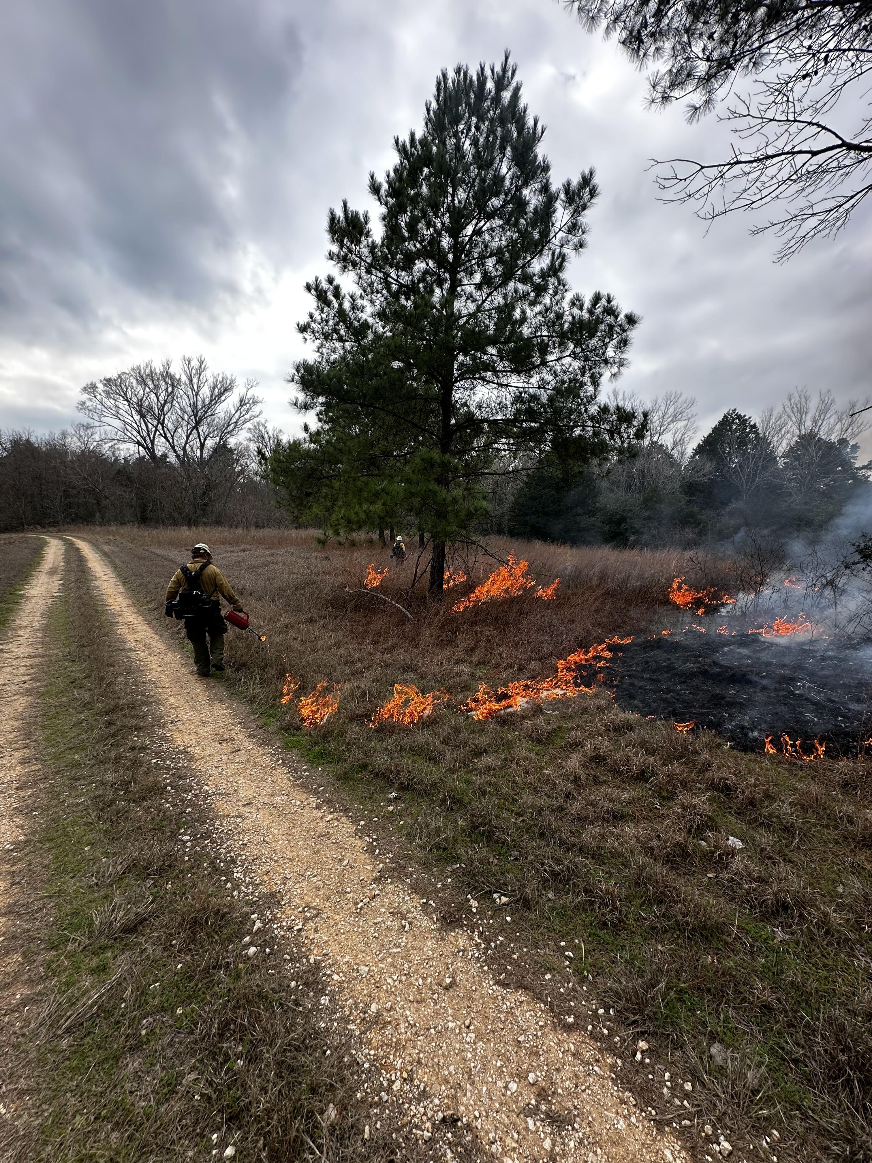 

						Camp Swift Unit 15 Ignition Operations, February 17, 2025
			