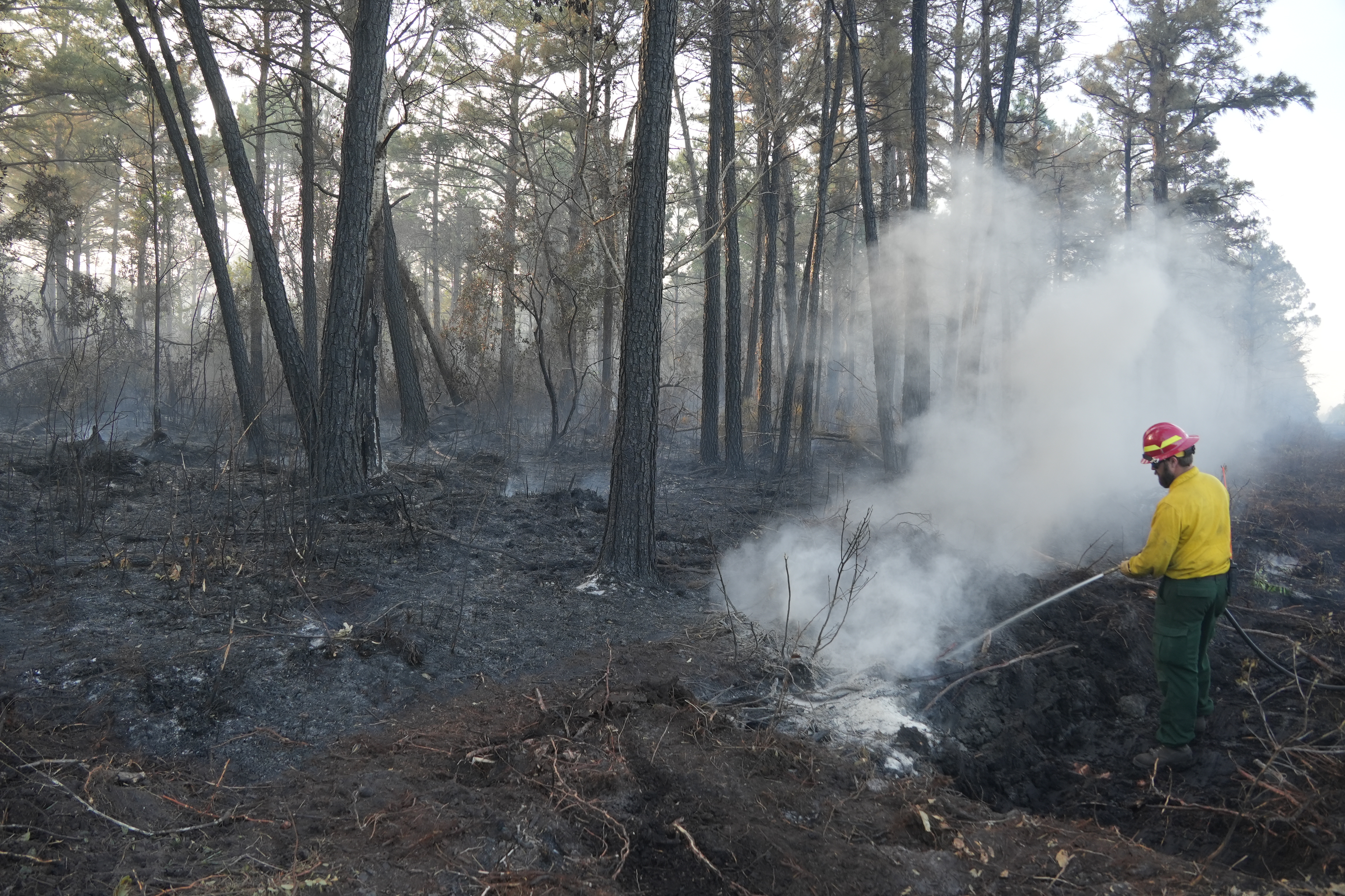 

						Black Swamp Fire spraying water 4/30
			