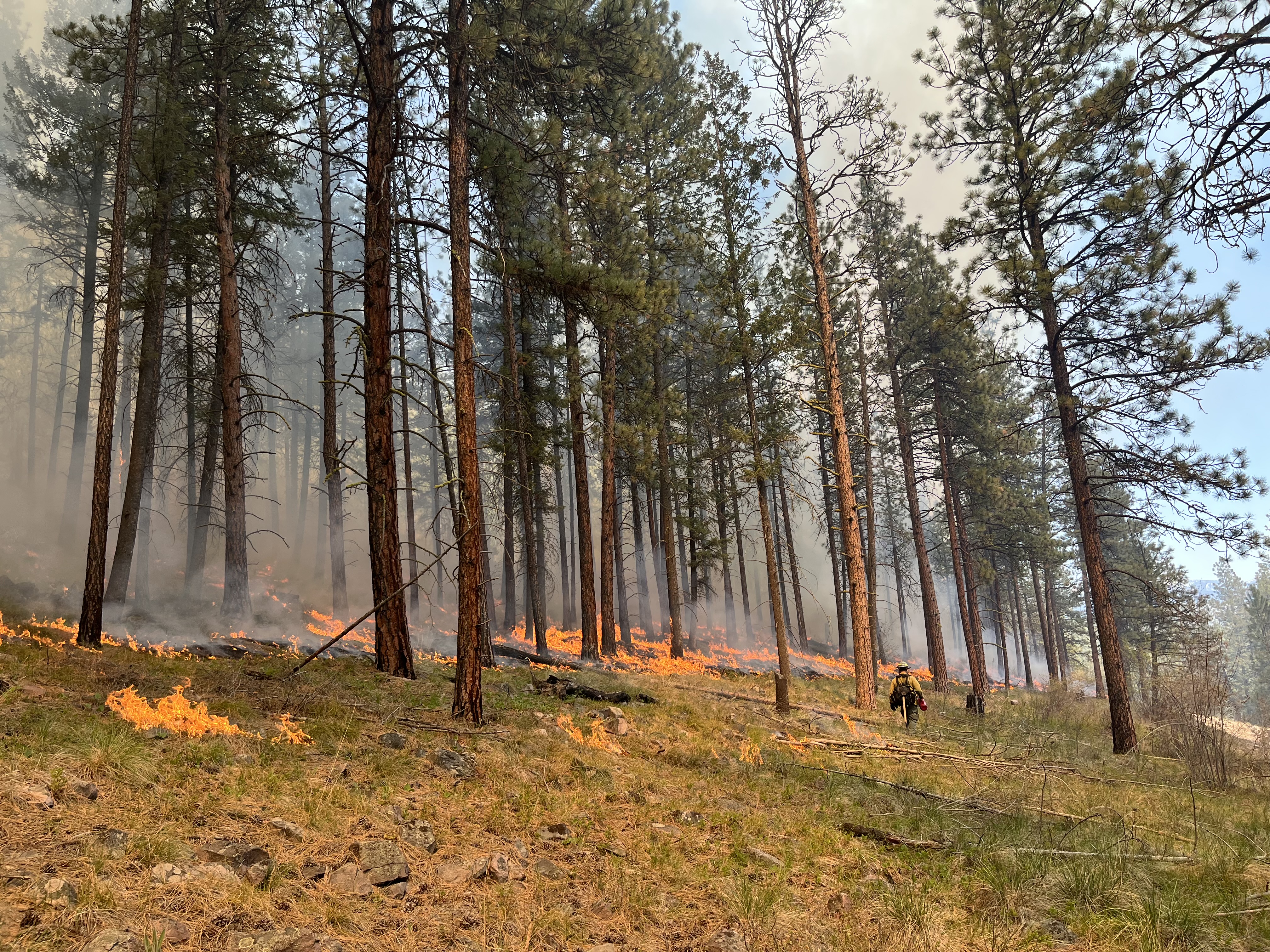 







						Blue Mountain Prescribed Fire 
			


