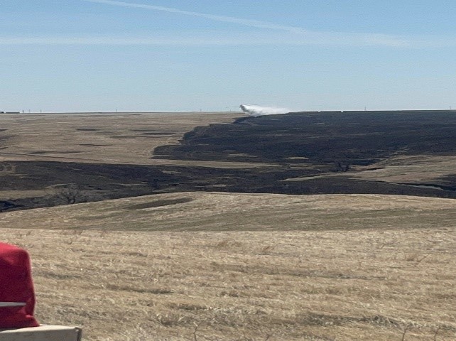 







						SEAT T-874 Buffalo Fire SDCRA.jpg
			


