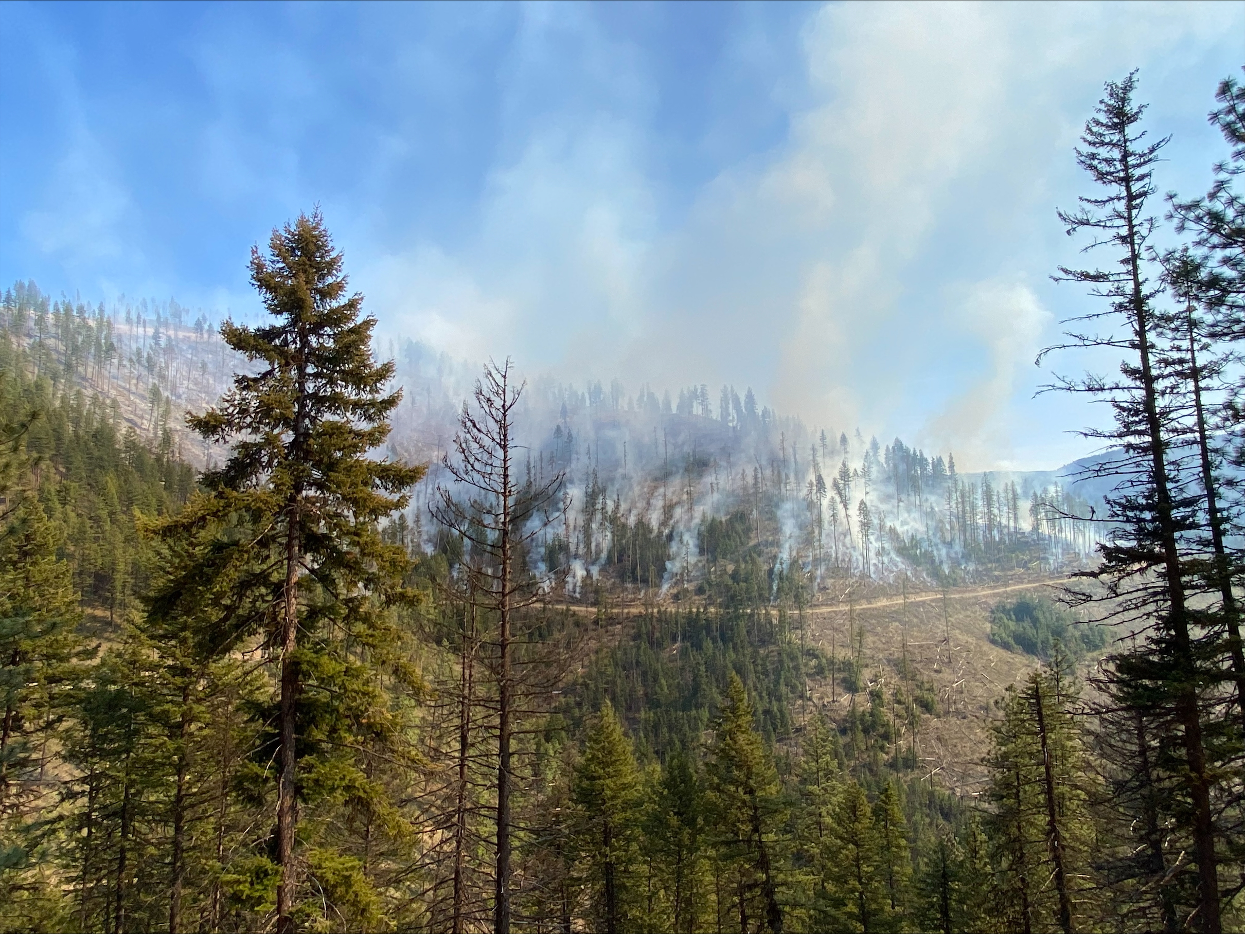 







						Short 2 Prescribed Fire 
			


