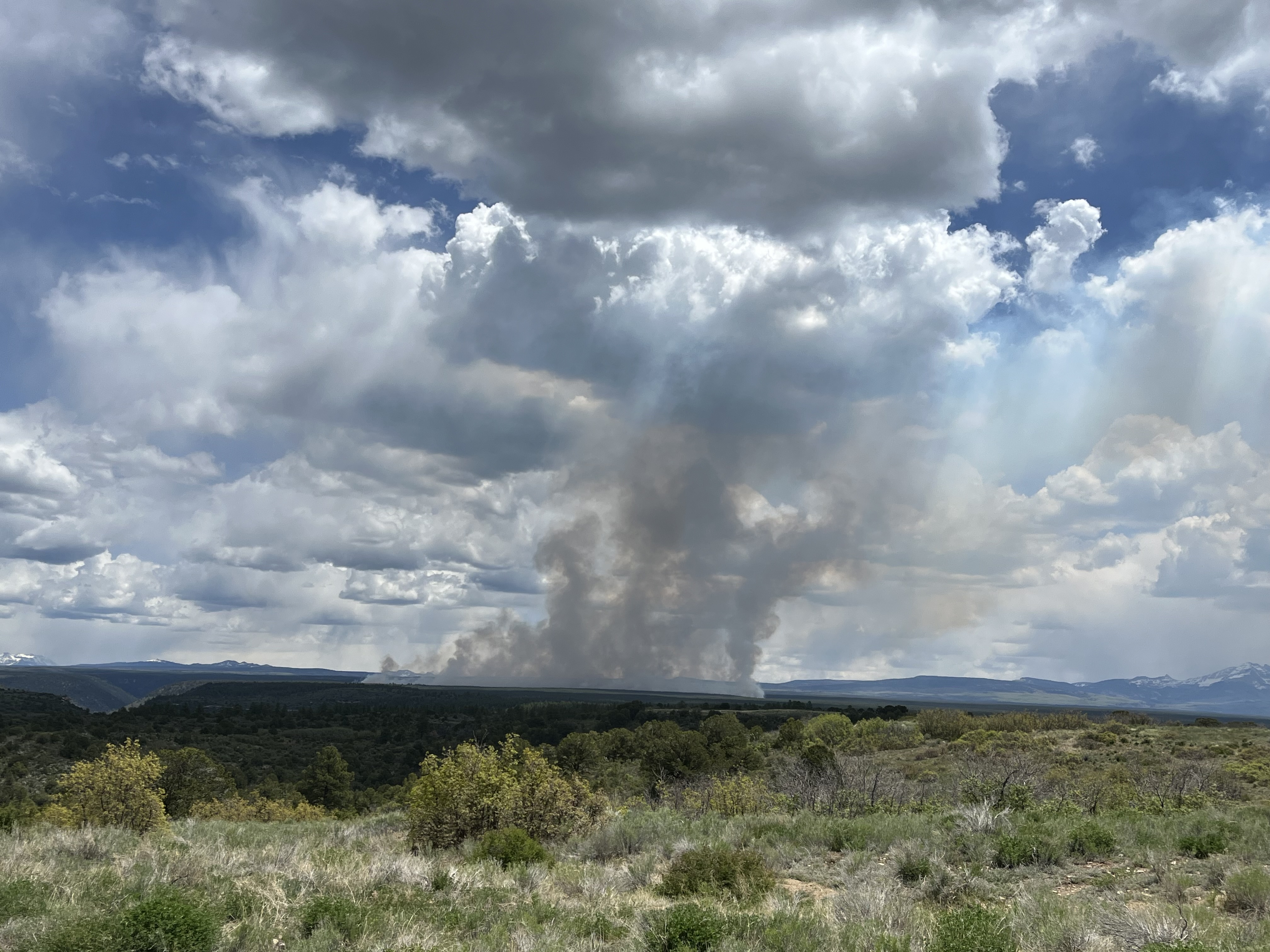 

						Haycamp Mesa Prescribed Fire_May 2025
			