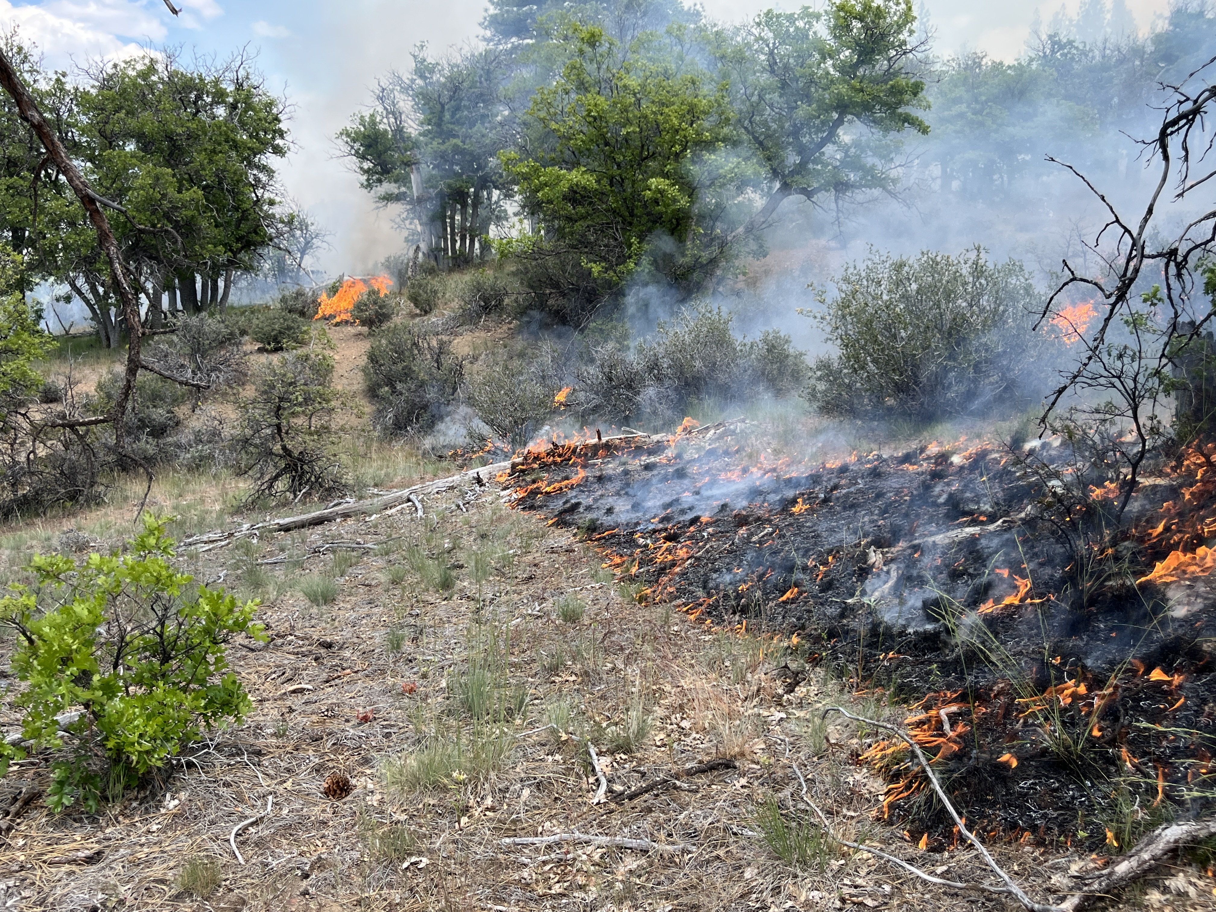 

						Masterson Prescribed Burn, May 22, 2025
			