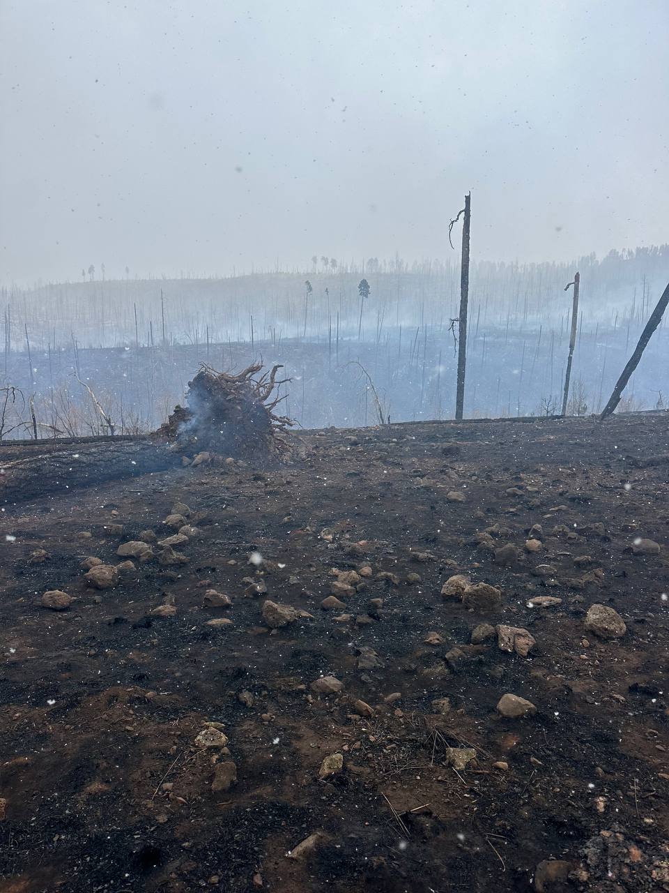 







						Iron Fire Burned Area May 5, 2025
			


