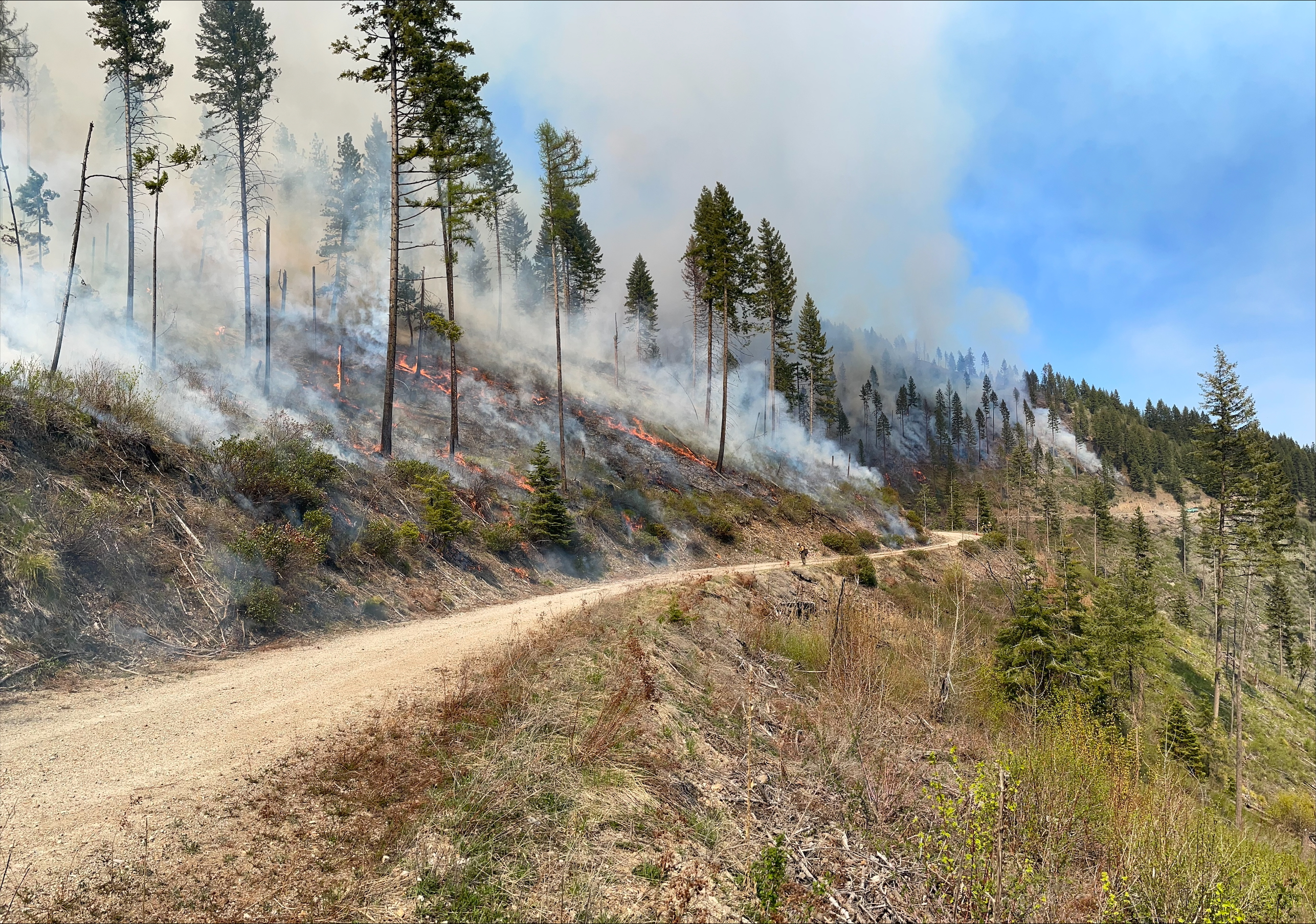 







						Two Shorts Unit Prescribed Fire Operations 
			


