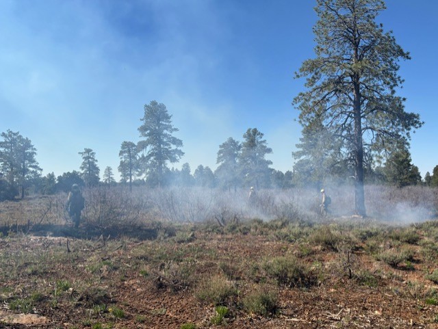 







						West Rim RX Unit 1
			


