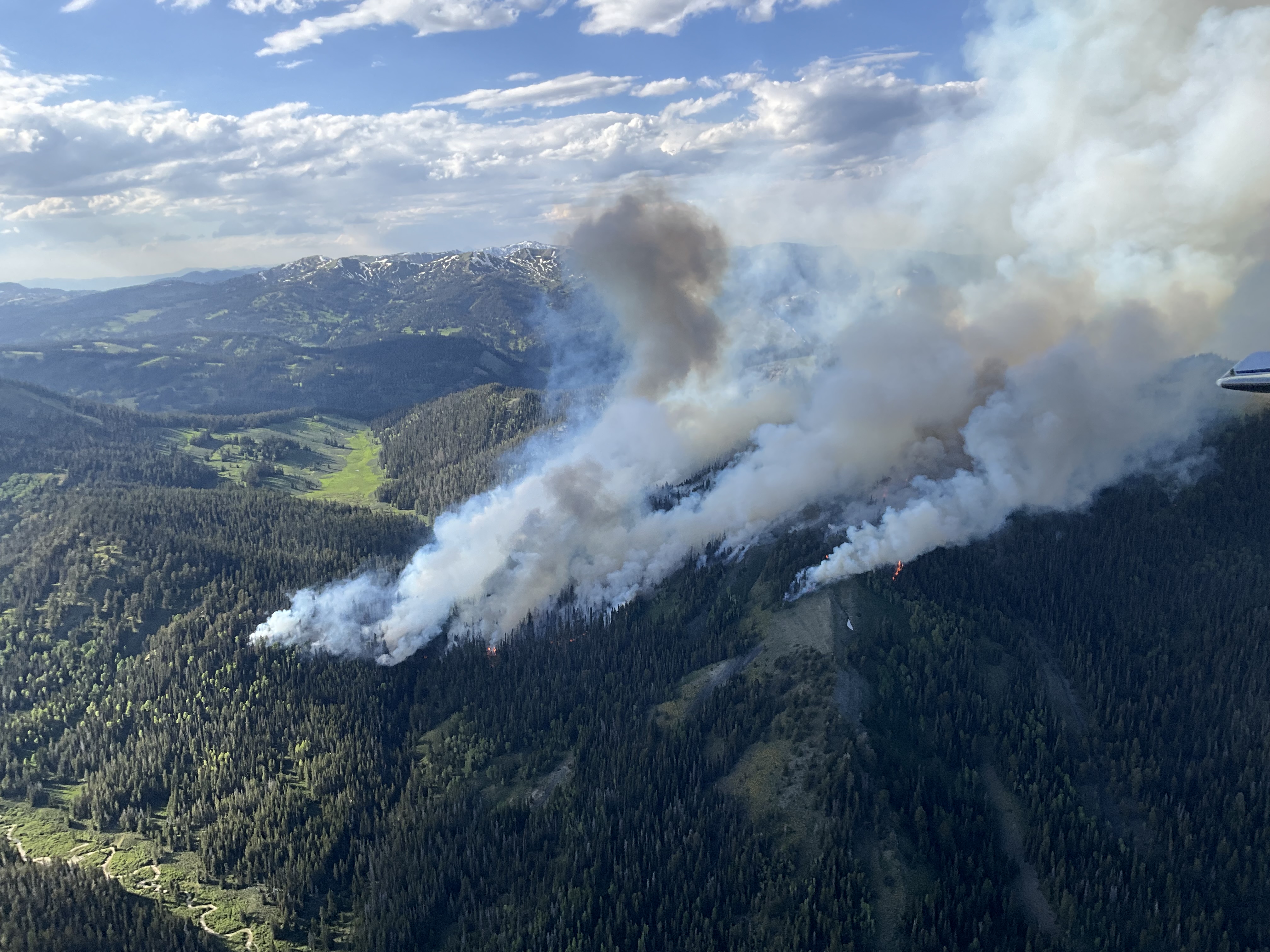 

						Horse Fire air attack
			