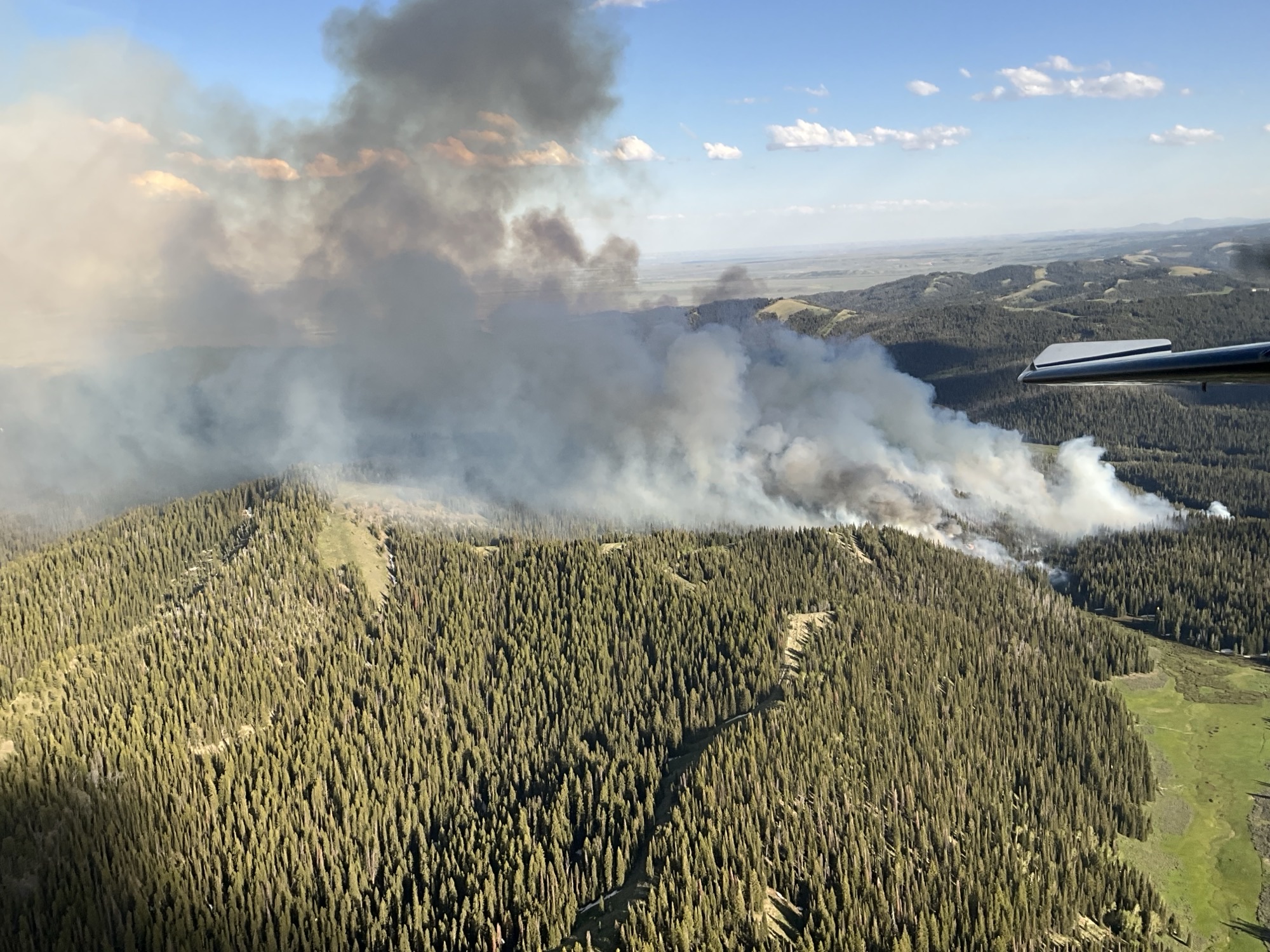 

						Horse Fire air attack 2
			